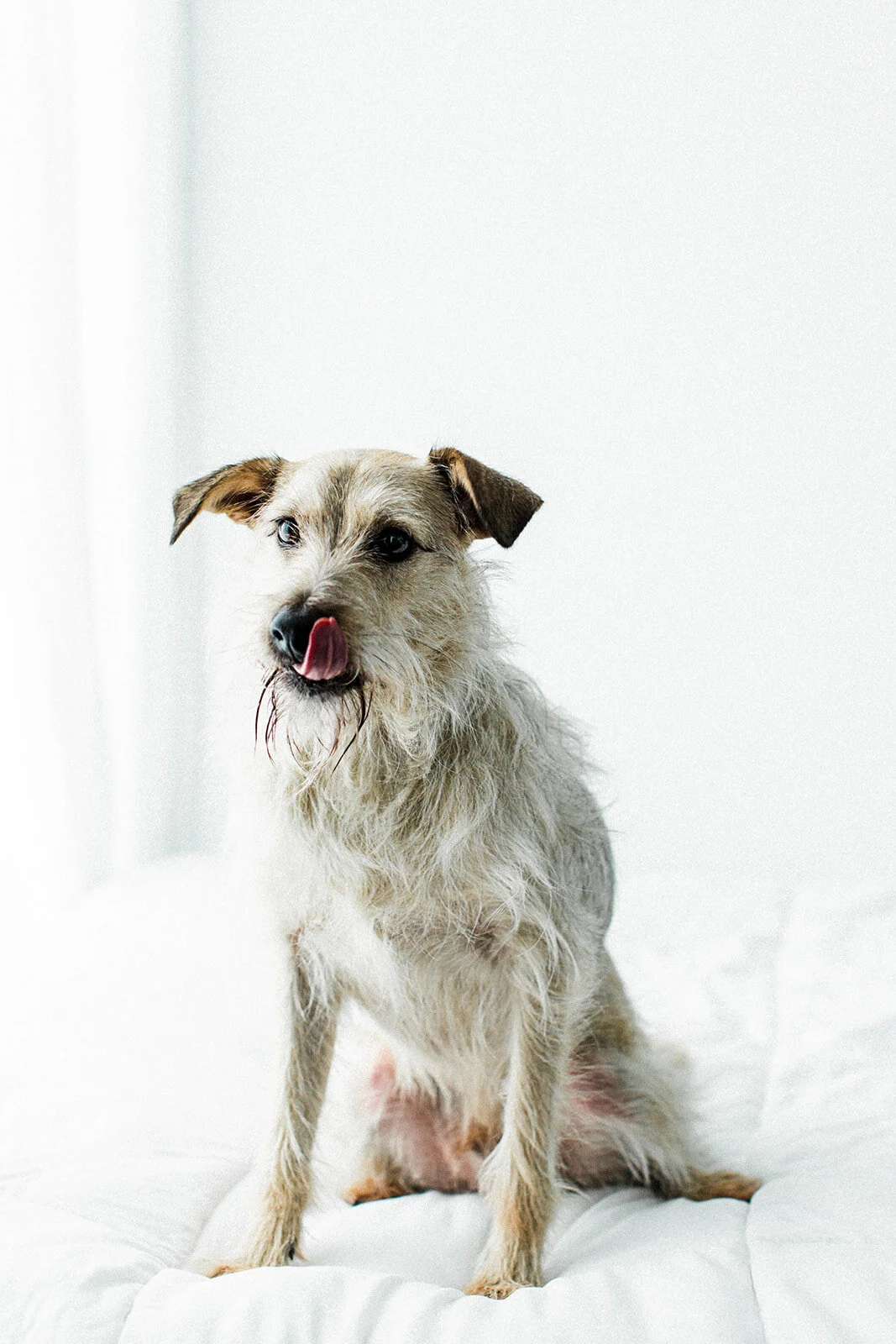 Ludo_Darby_PNW_Critter_Photography08.jpg