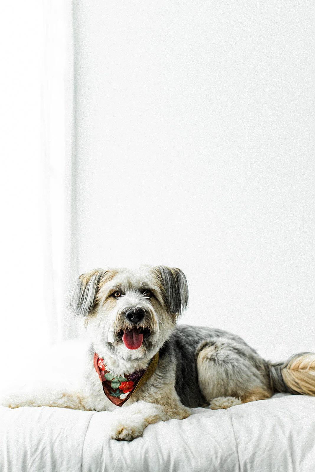 Ludo_Darby_PNW_Critter_Photography17.jpg