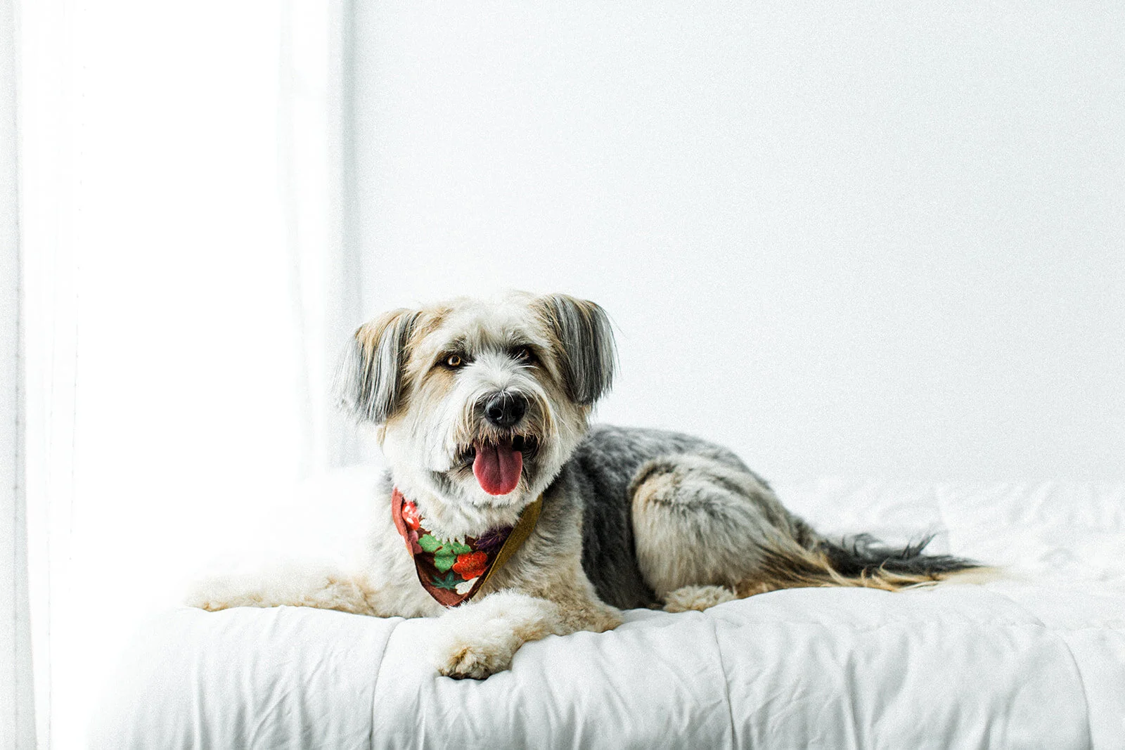 Ludo_Darby_PNW_Critter_Photography18.jpg