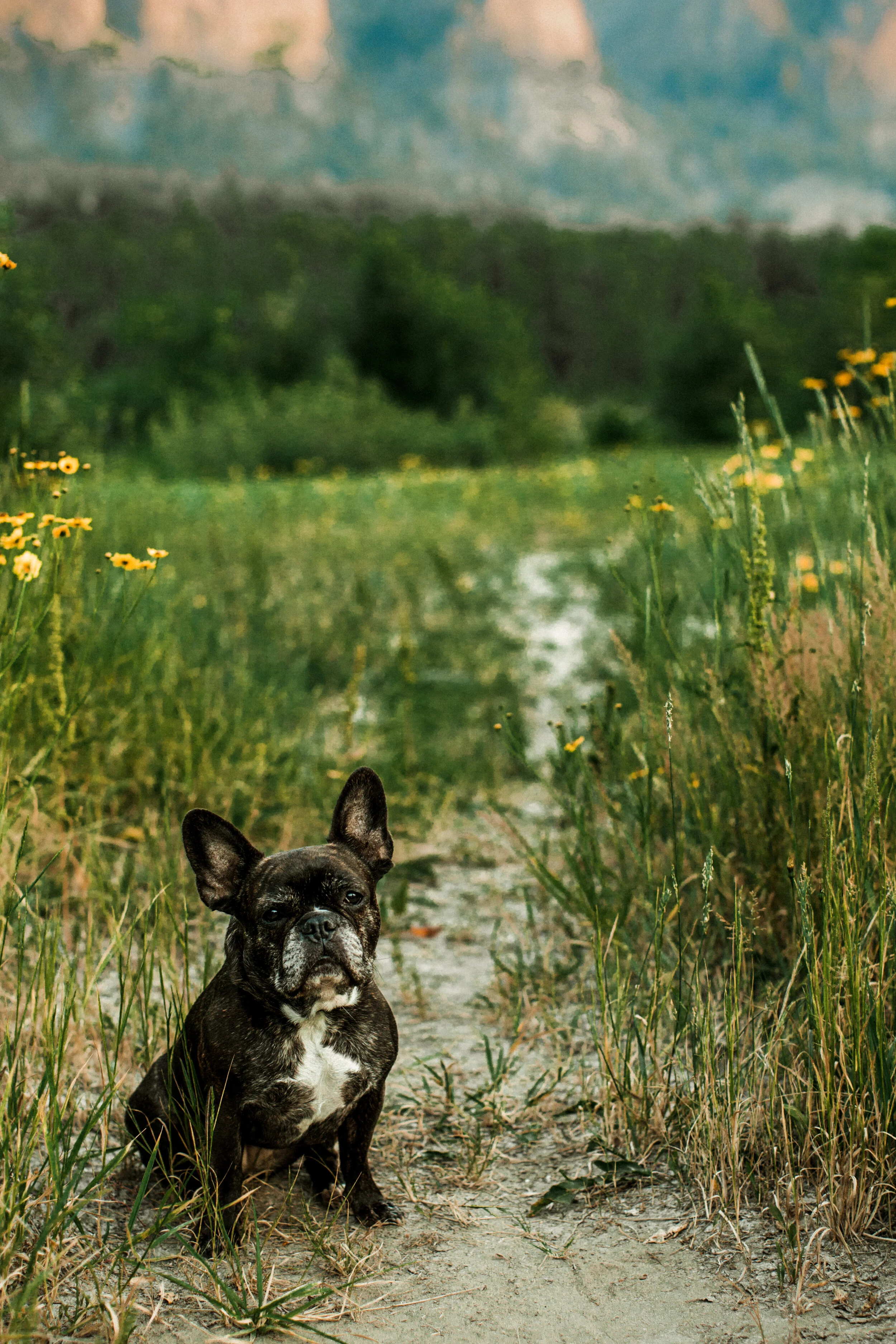 Parkins_2019_Sommessa_Photography065.jpg