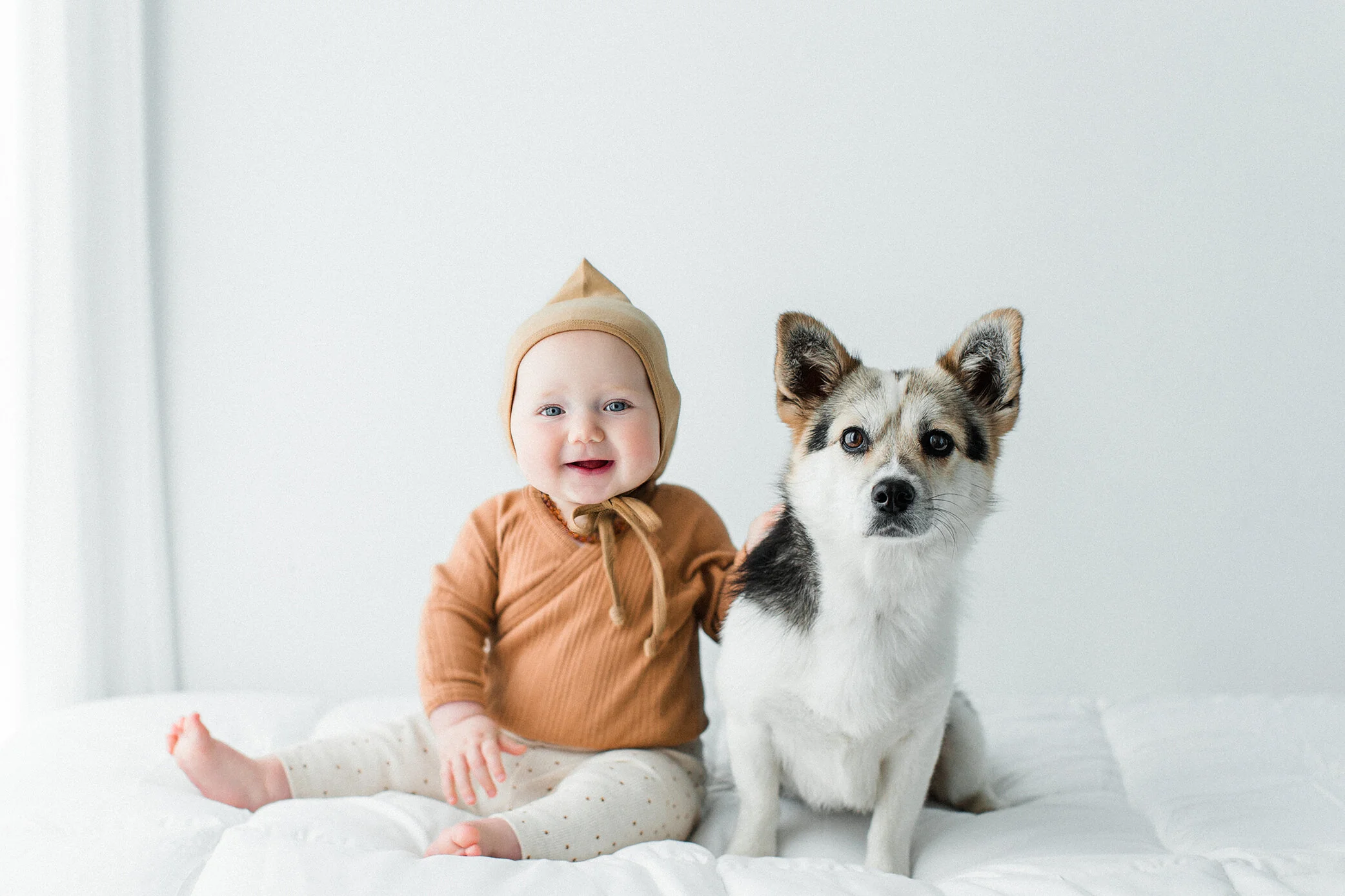 Wildhearts_Pet_Photography04_1.jpg