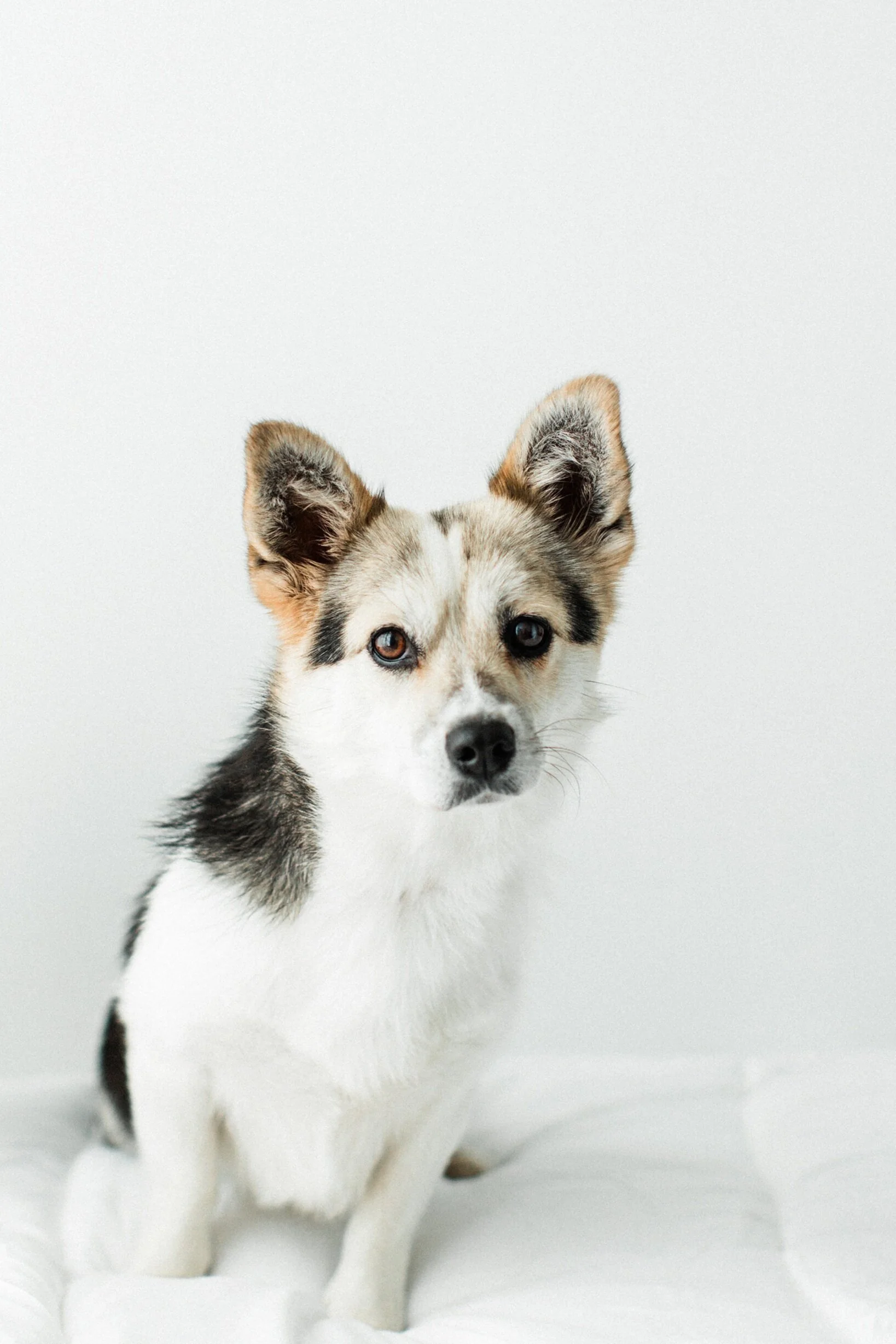 Bella Mae