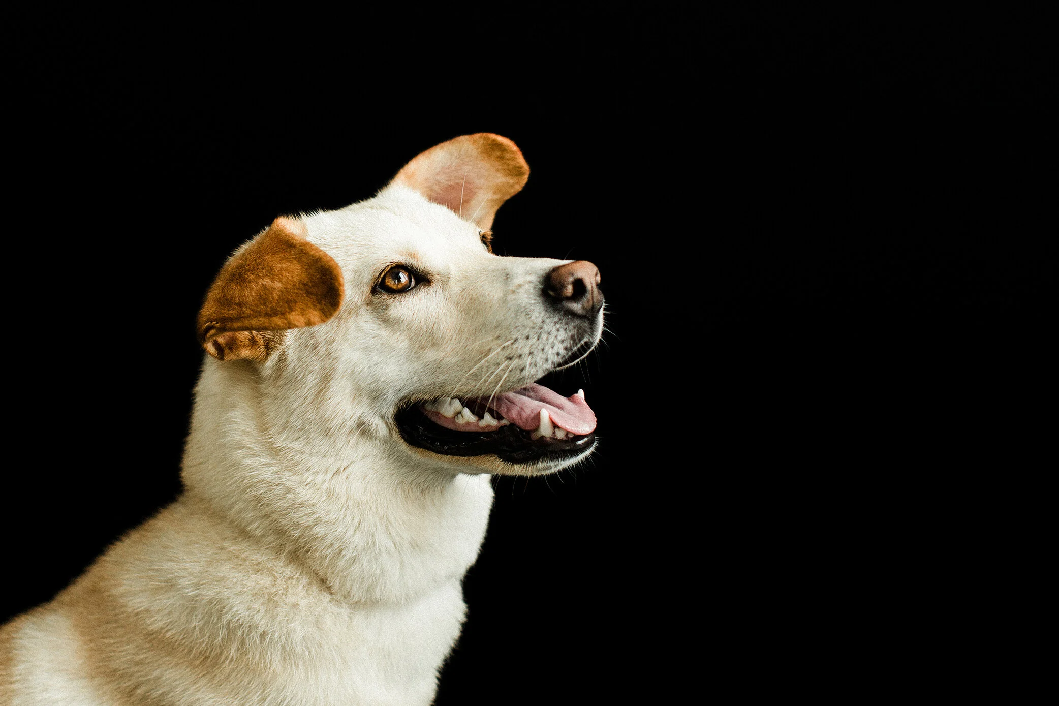 Popo_Wildhearts_Photography05.jpg