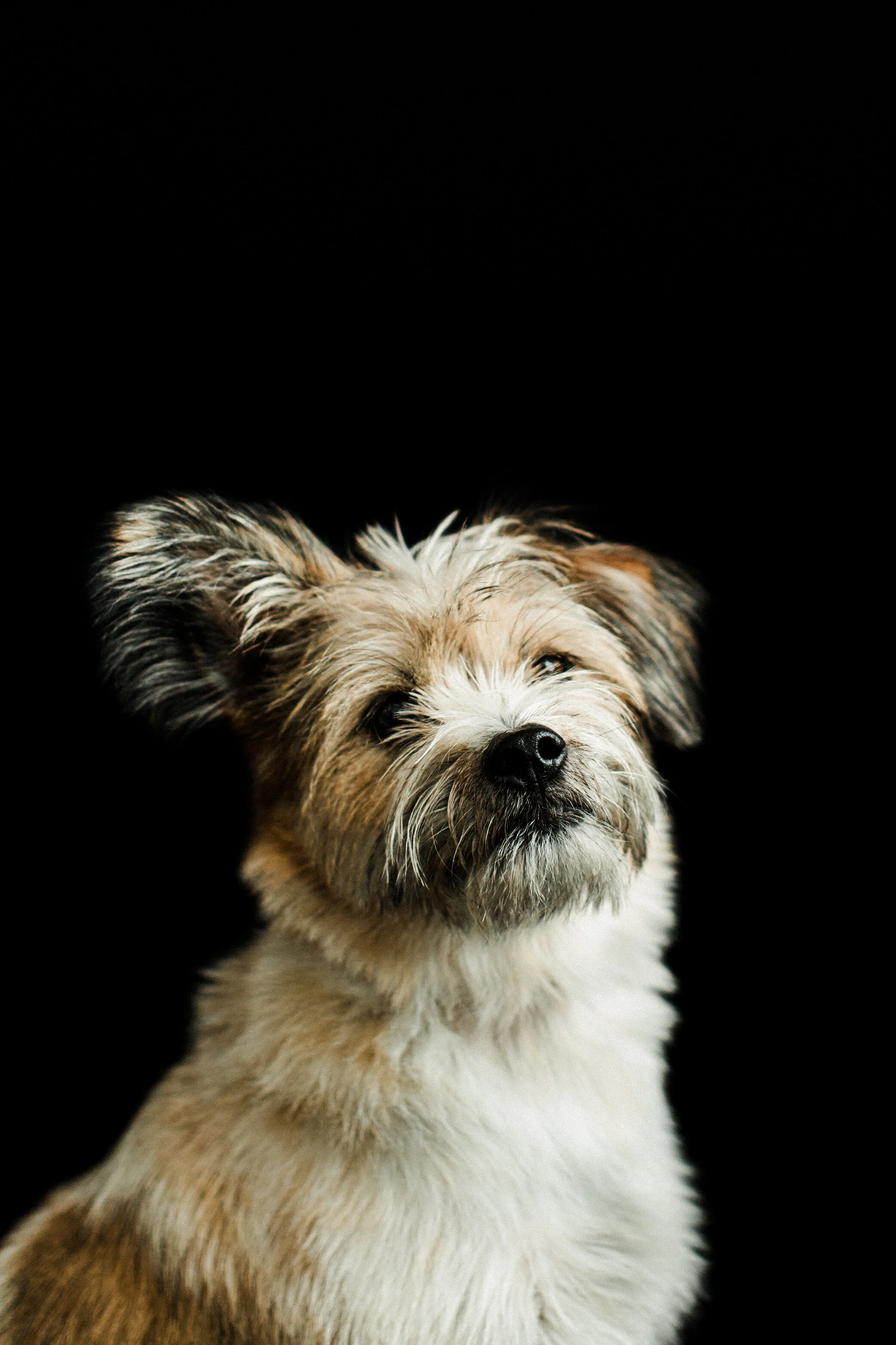 Wildhearts_Photography47.jpg