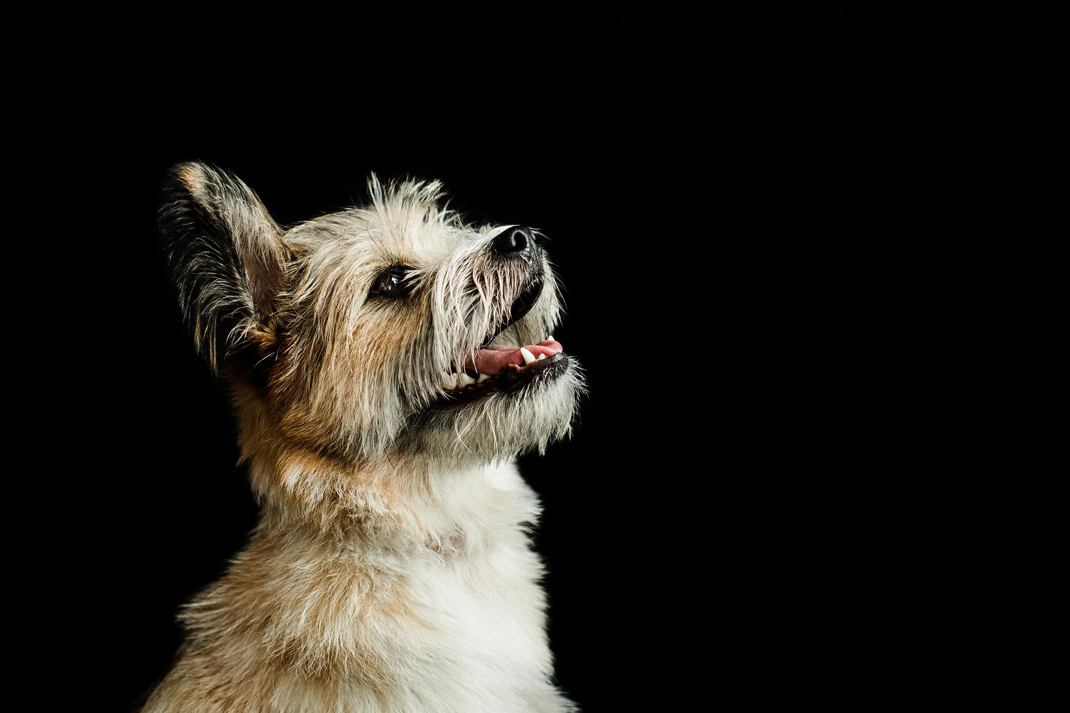 Wildhearts_Photography45.jpg