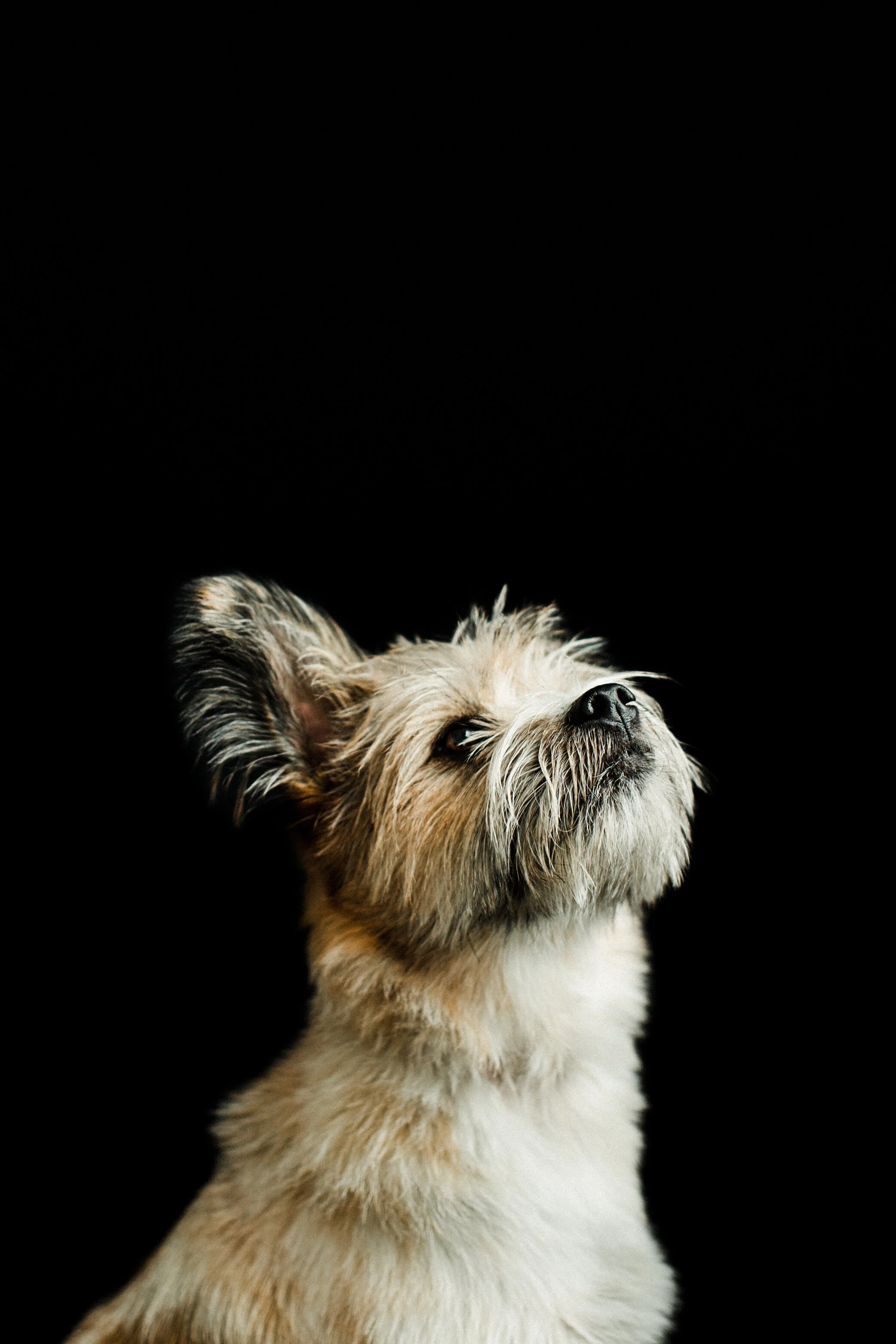 Wildhearts_Photography46.jpg