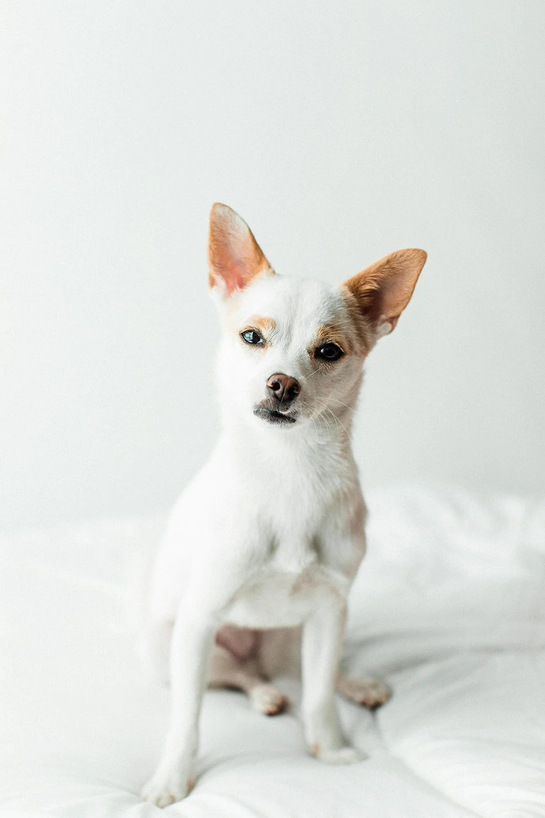 Tiny_Wildhearts_Photography02.jpg