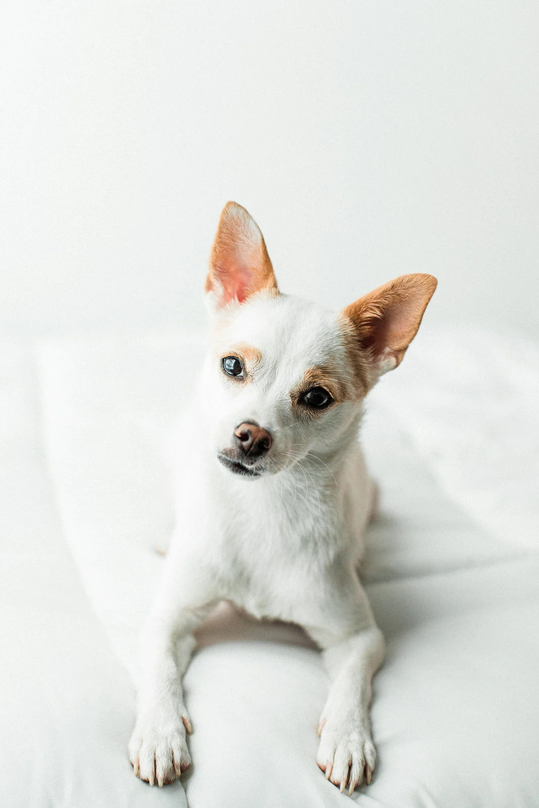Tiny_Wildhearts_Photography01.jpg