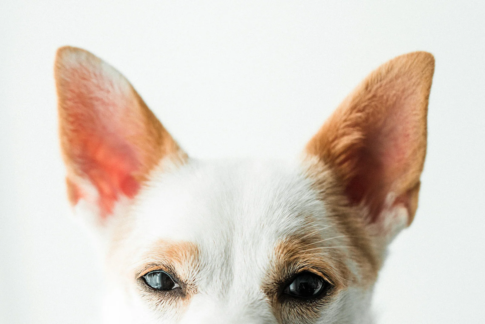 Tiny_Wildhearts_Photography06.jpg
