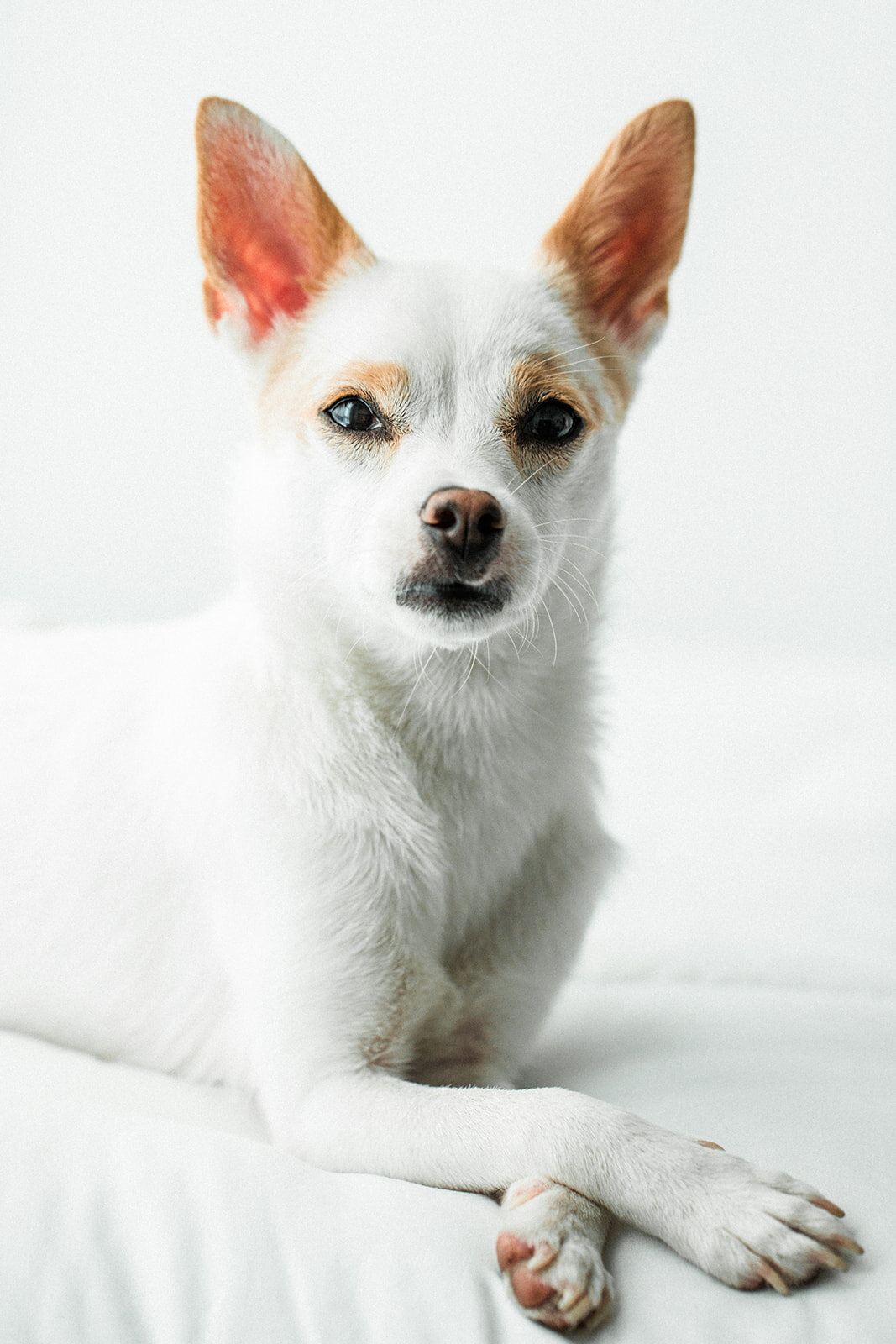 Tiny_Wildhearts_Photography09.jpg