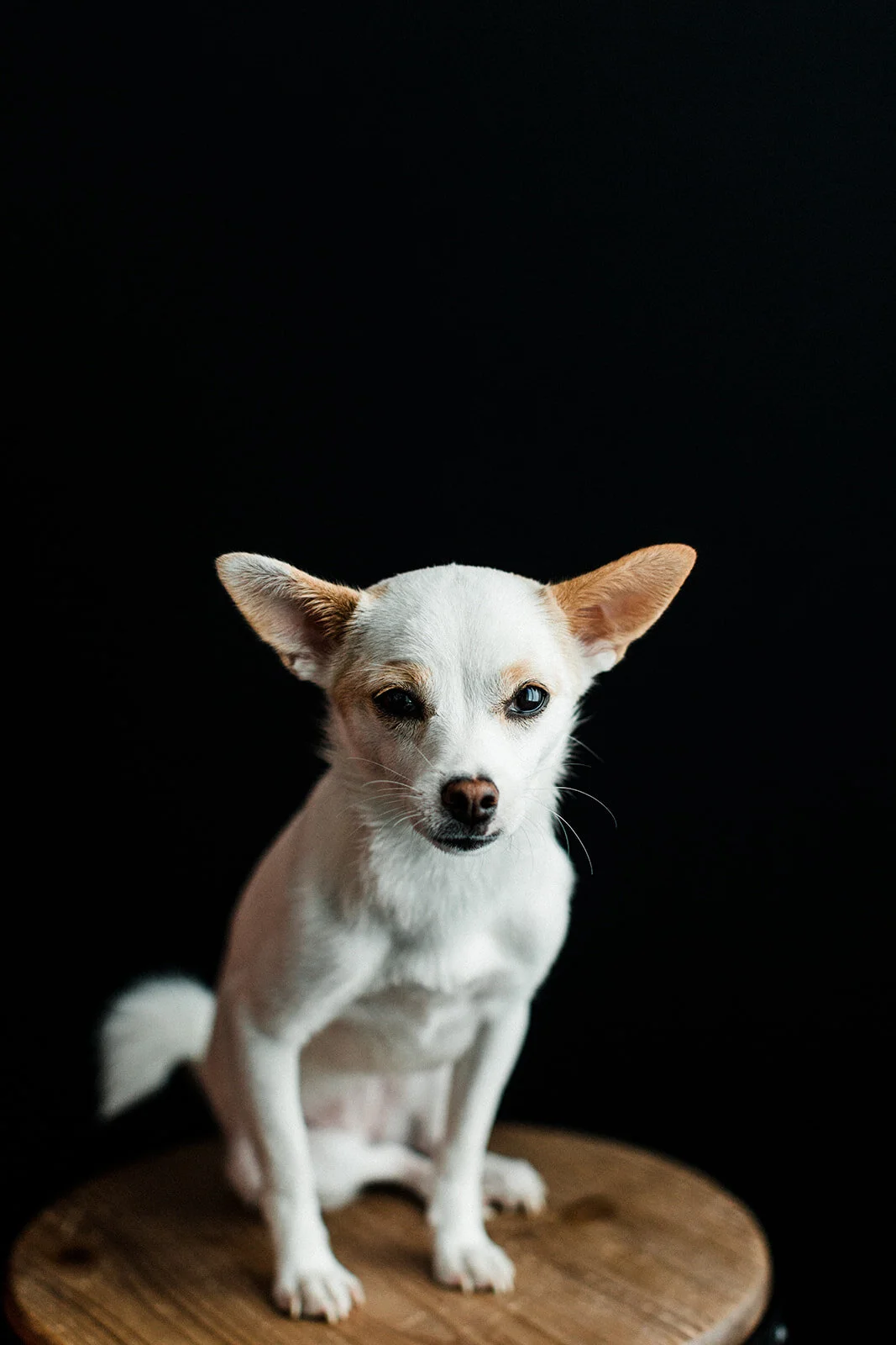Tiny_Wildhearts_Photography10.jpg