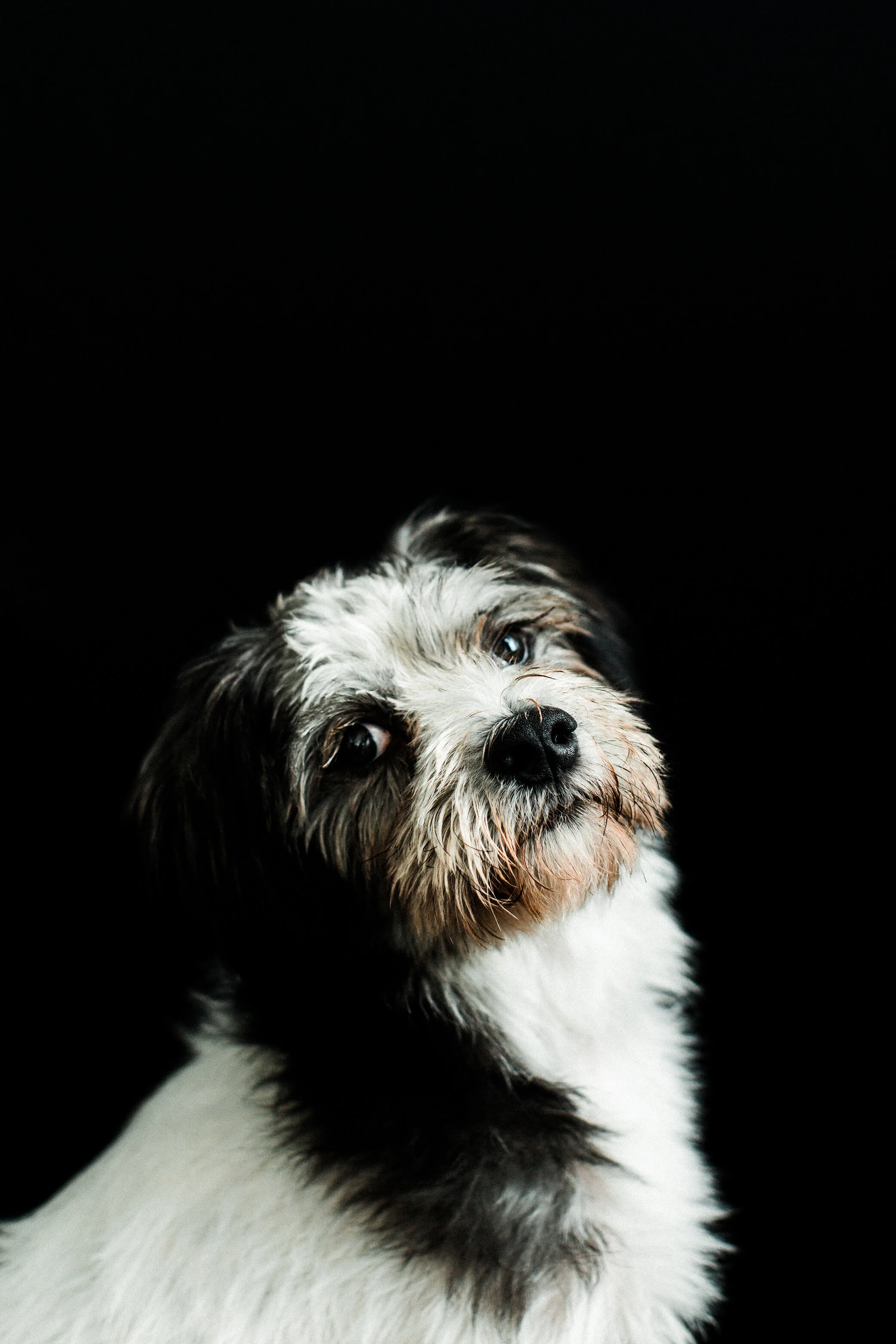 Kevin_Wildhearts_Photography10.jpg