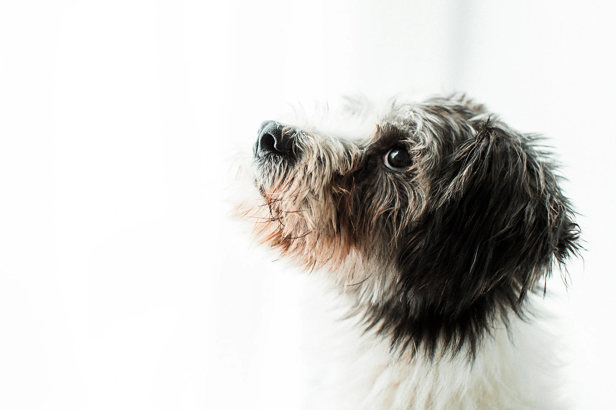Kevin_Wildhearts_Photography05.jpg