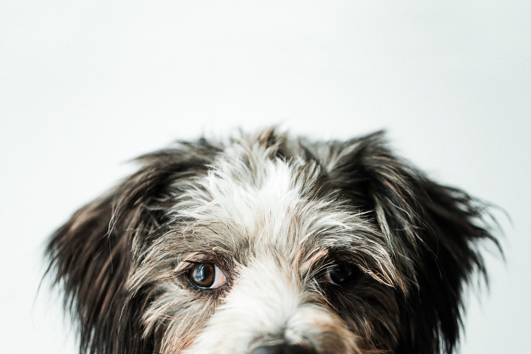 Kevin_Wildhearts_Photography06.jpg