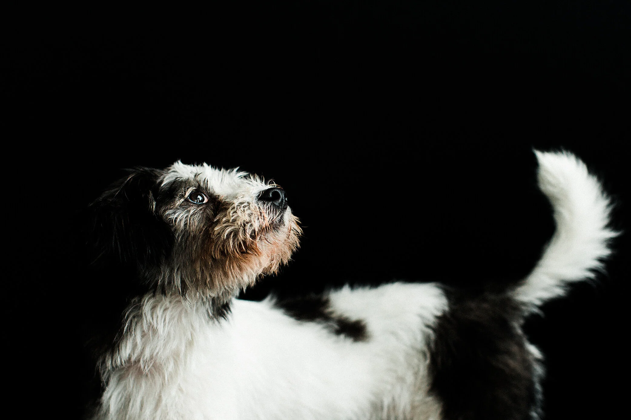 Kevin_Wildhearts_Photography08.jpg