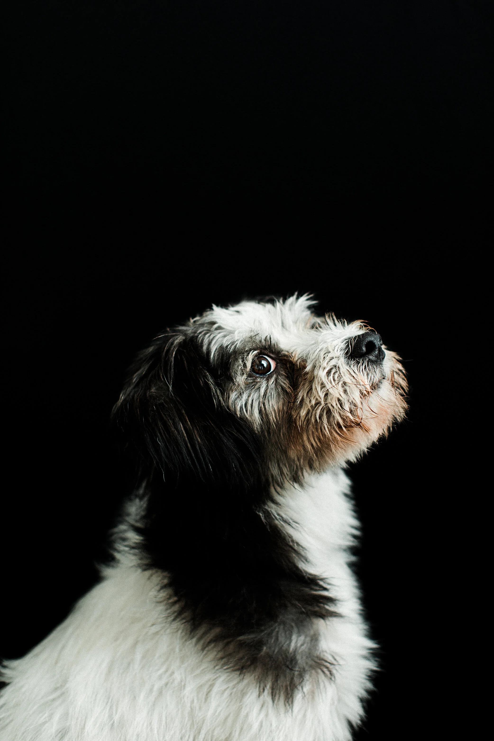 Kevin_Wildhearts_Photography09.jpg