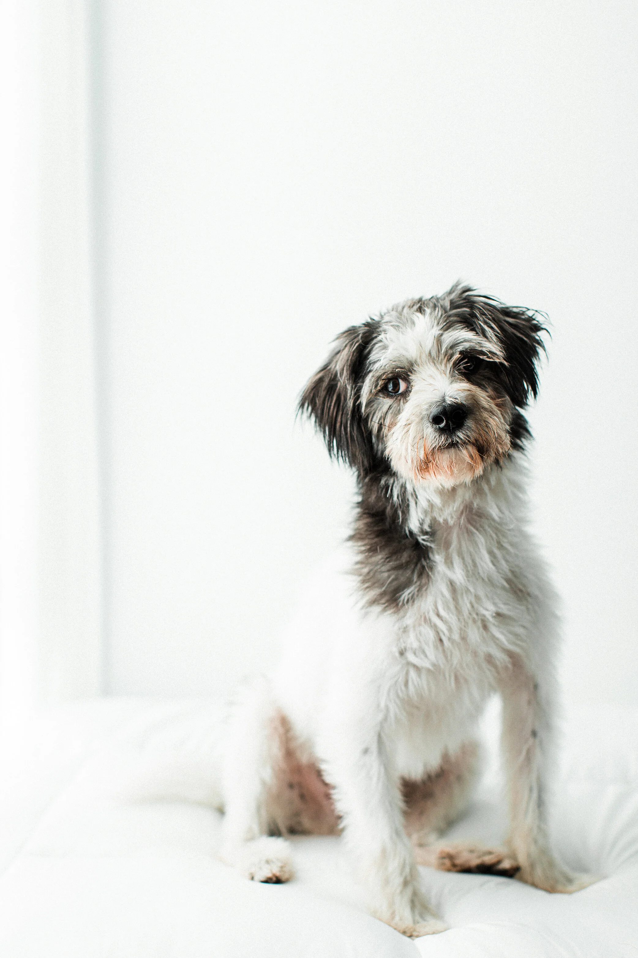 Kevin_Wildhearts_Photography01.jpg
