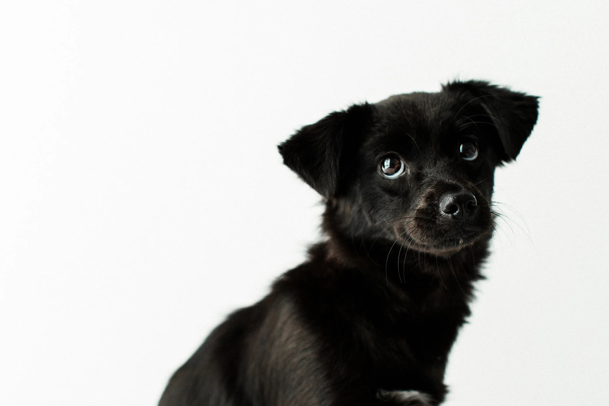 Wildhearts_Photography0111.jpg