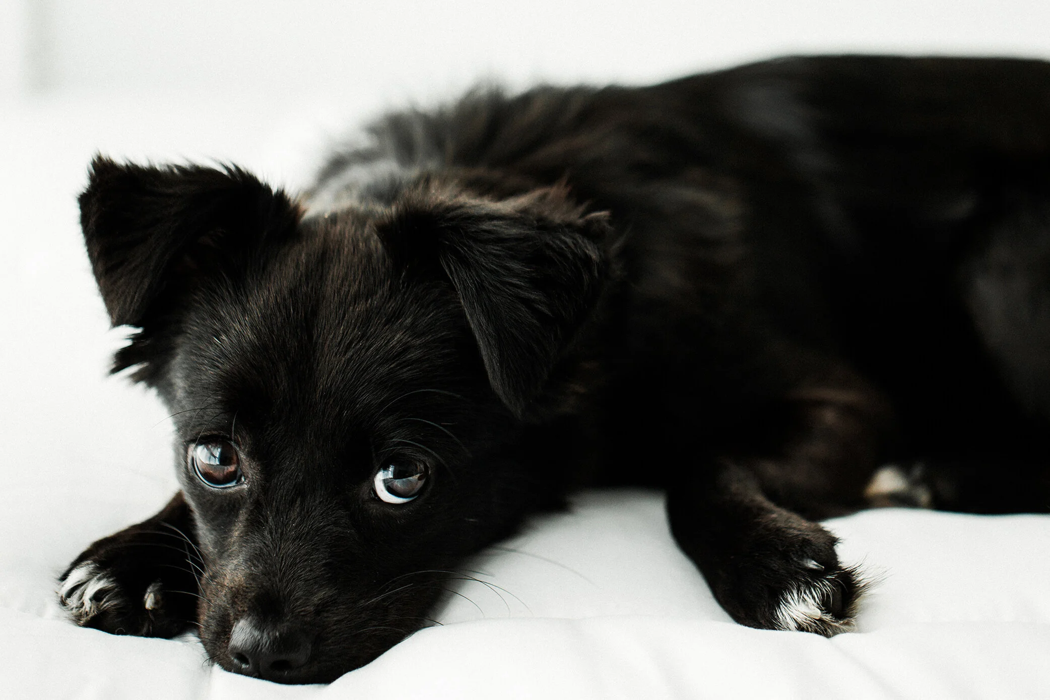 Wildhearts_Photography0115.jpg