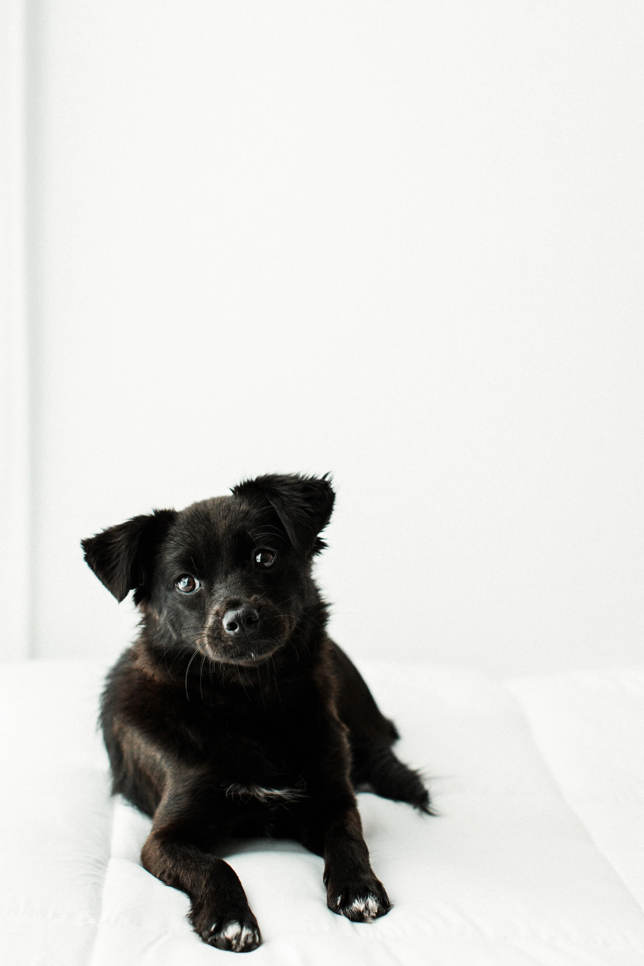Wildhearts_Photography0114.jpg