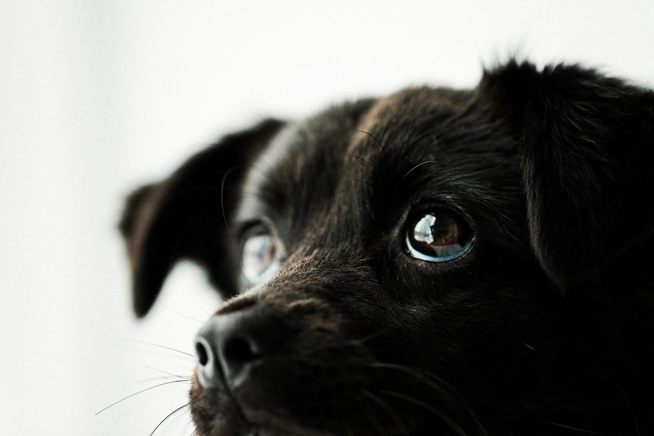 Wildhearts_Photography0116.jpg