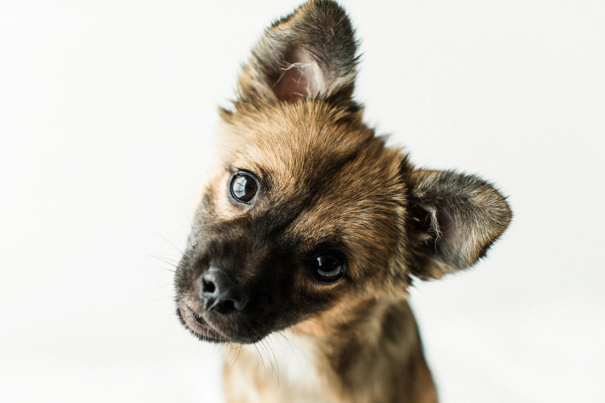 Wildhearts_Photography0108.jpg