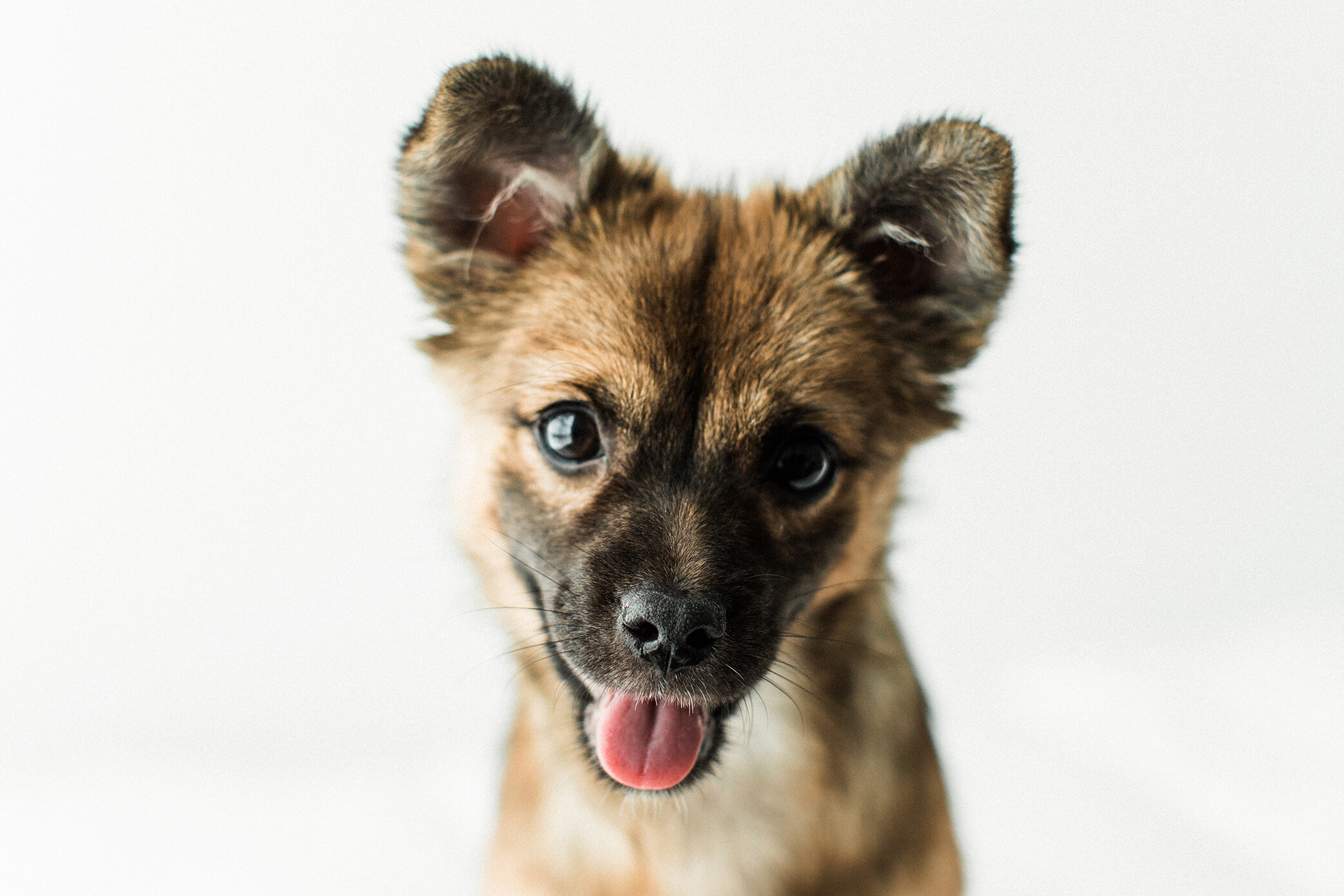 Wildhearts_Photography0107.jpg
