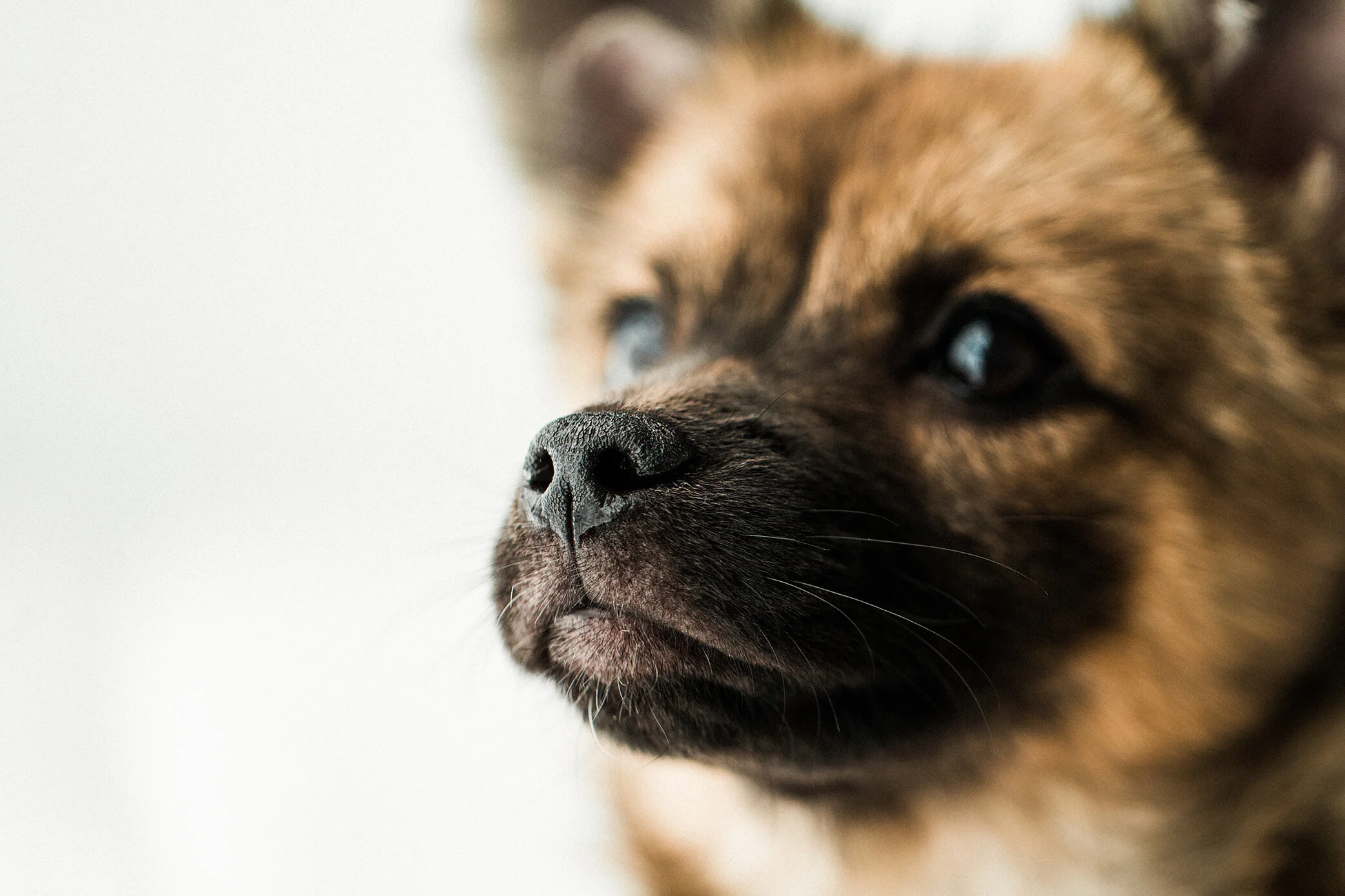 Wildhearts_Photography0104.jpg