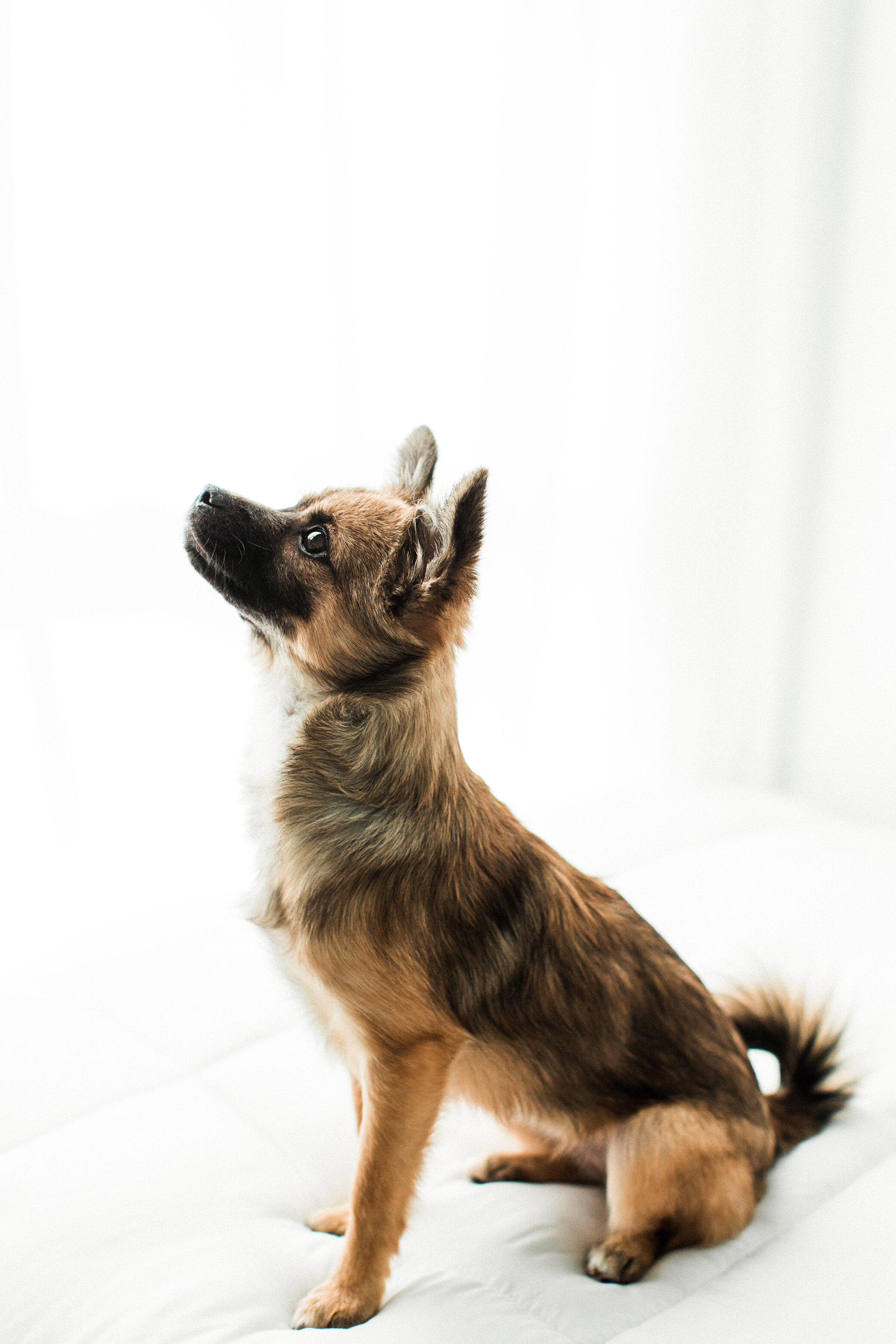 Wildhearts_Photography0103.jpg