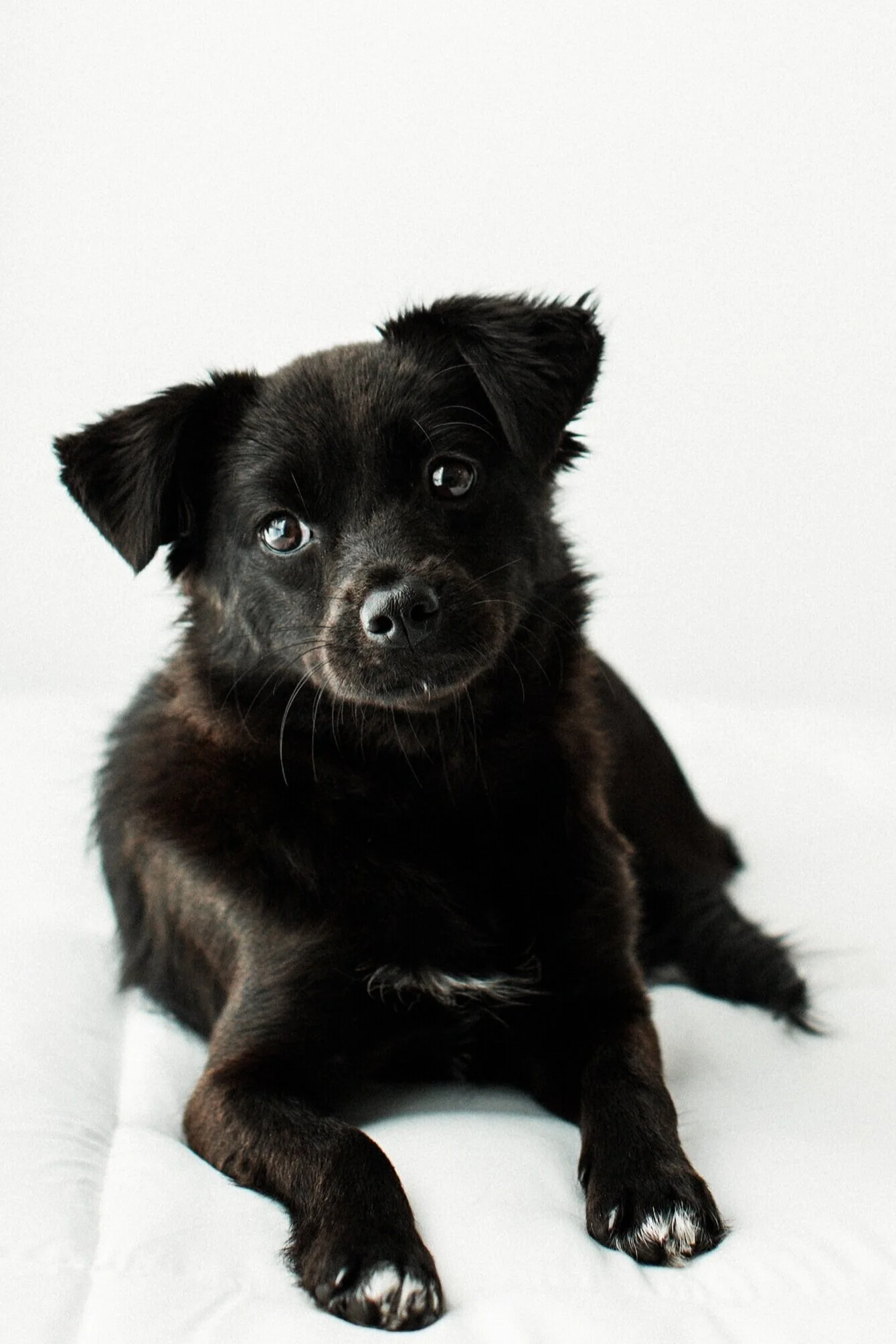Yuha