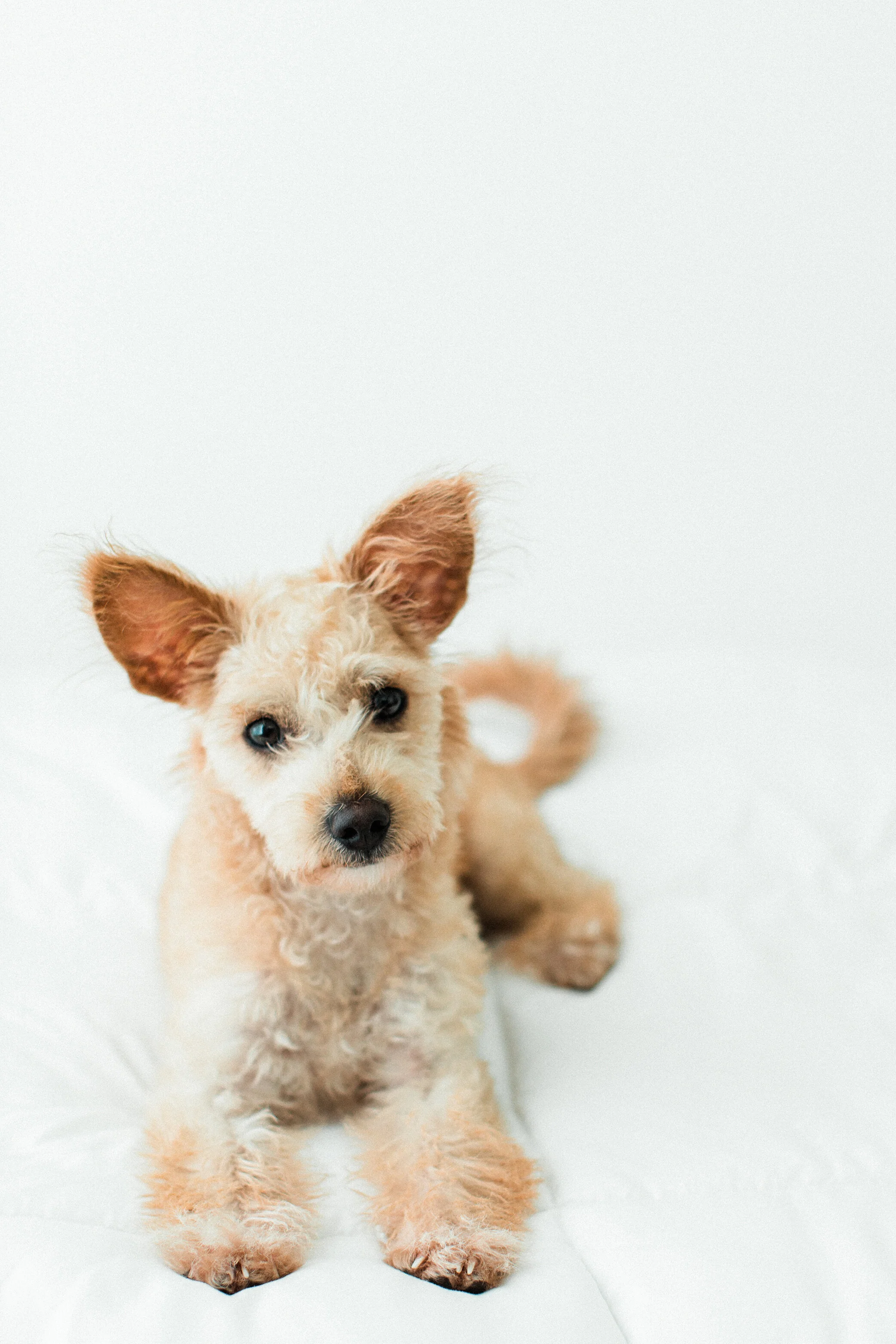 Susu_Wildhearts_Photography01.jpg
