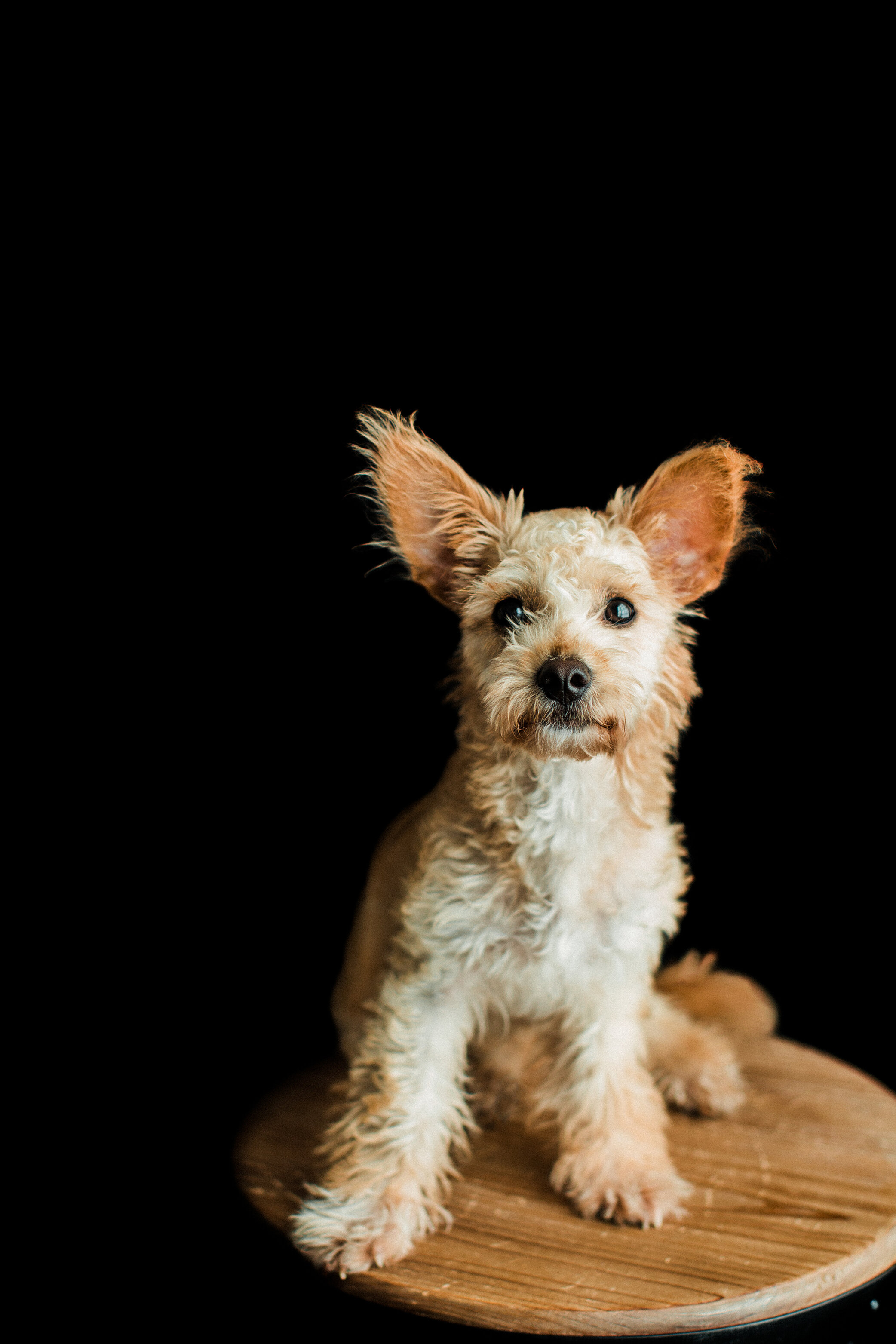Susu_Wildhearts_Photography07.jpg
