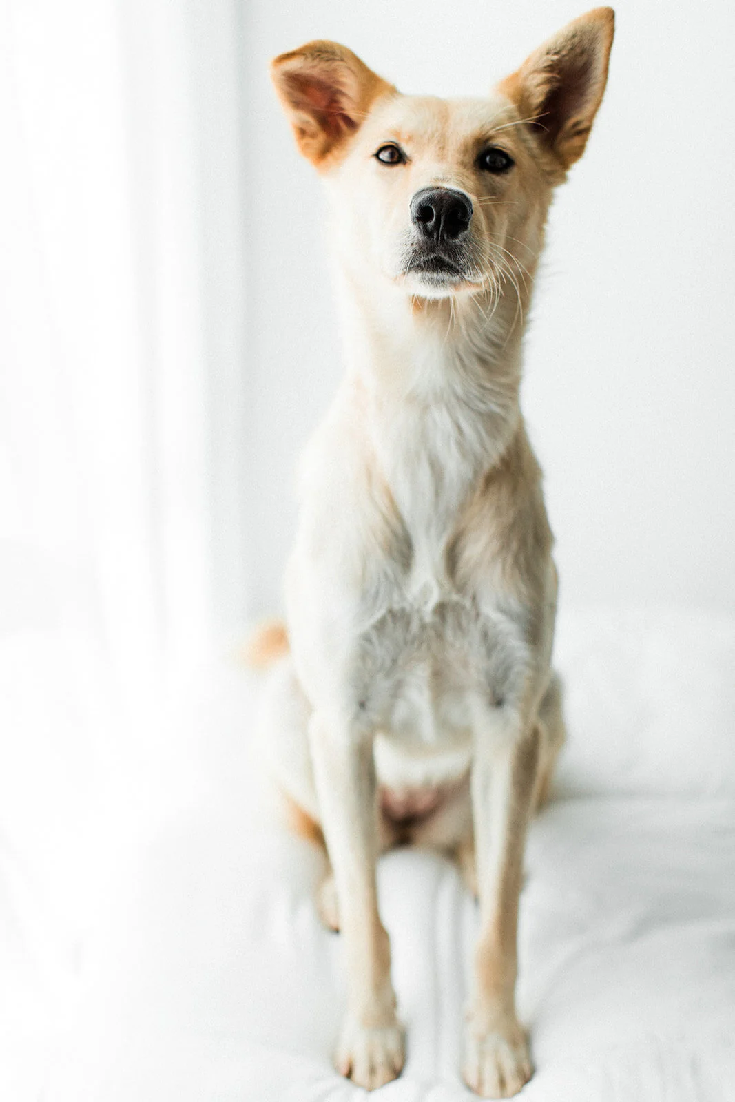 Pearl_Wildhearts_Photography03.jpg