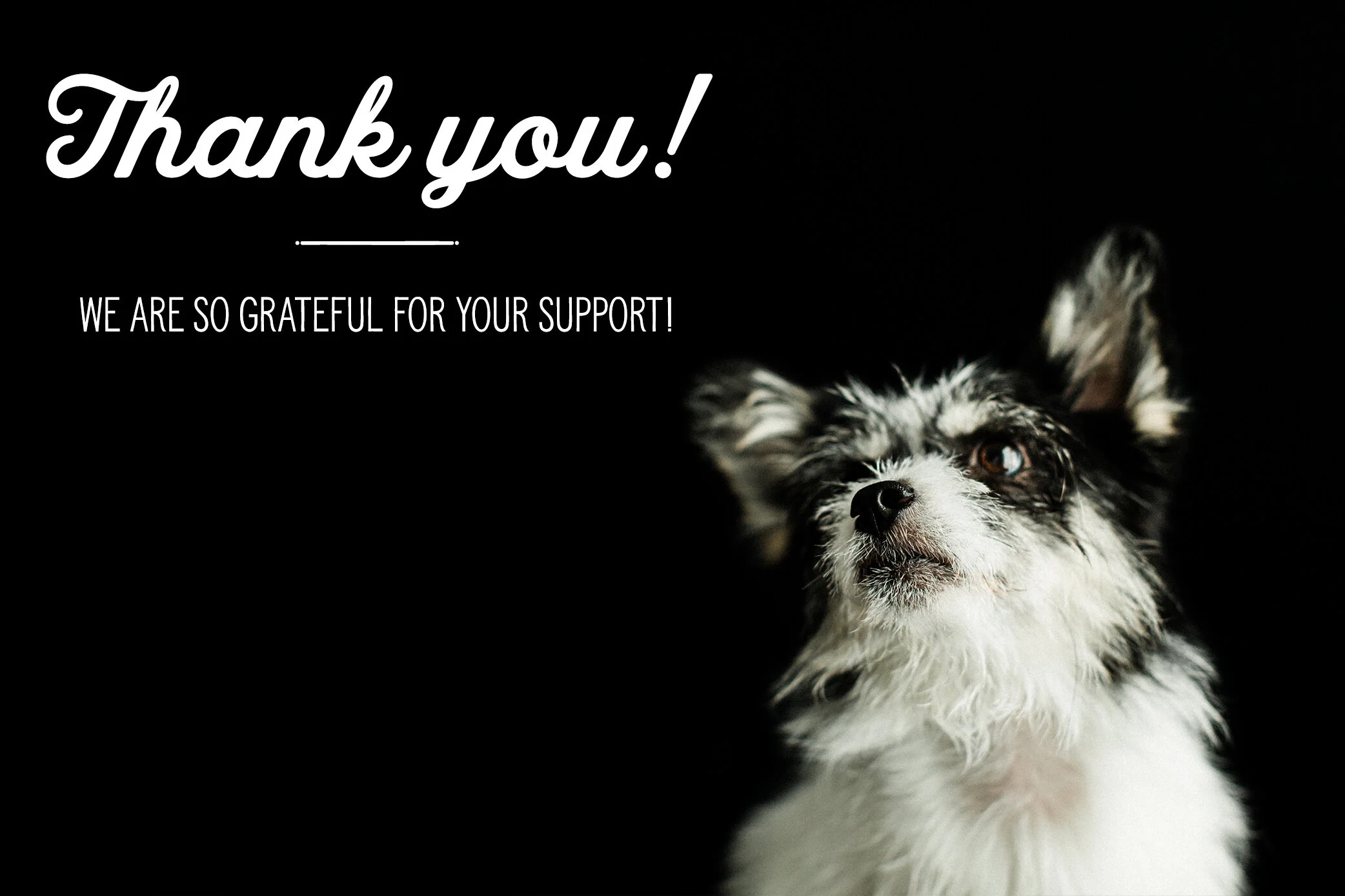thankyou.jpg