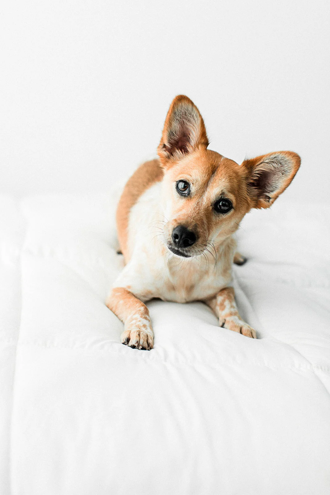 Jack_Wildhearts_Photography02.jpg