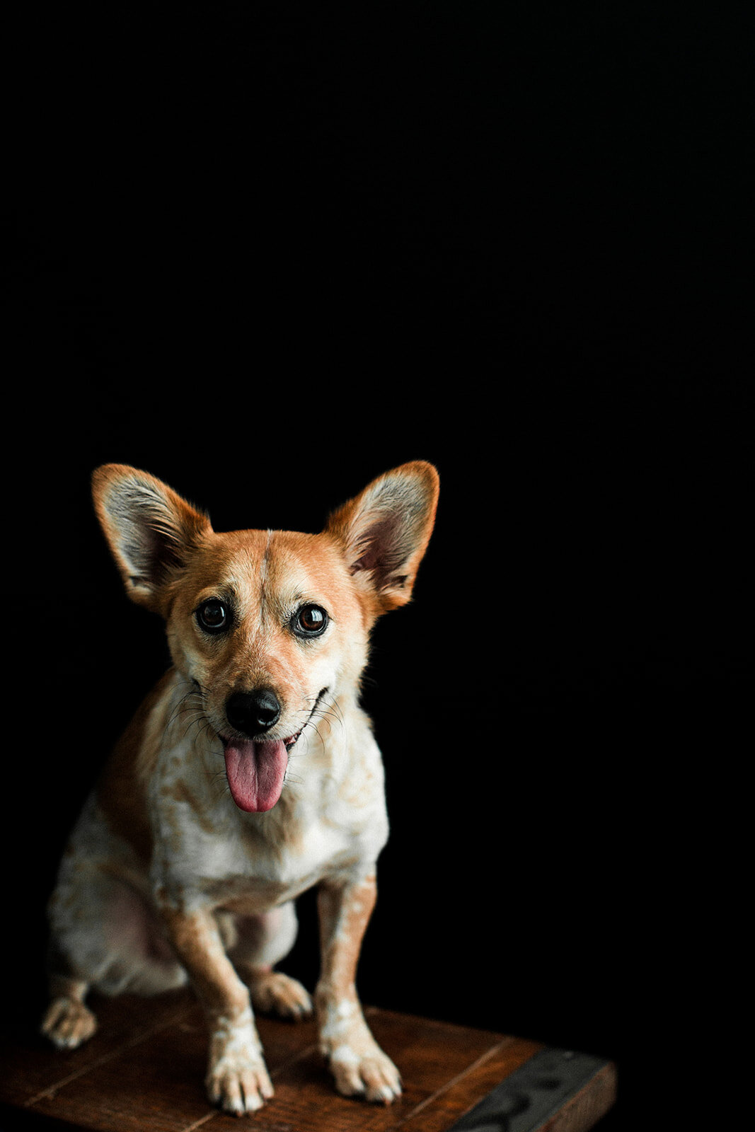 Jack_Wildhearts_Photography06.jpg