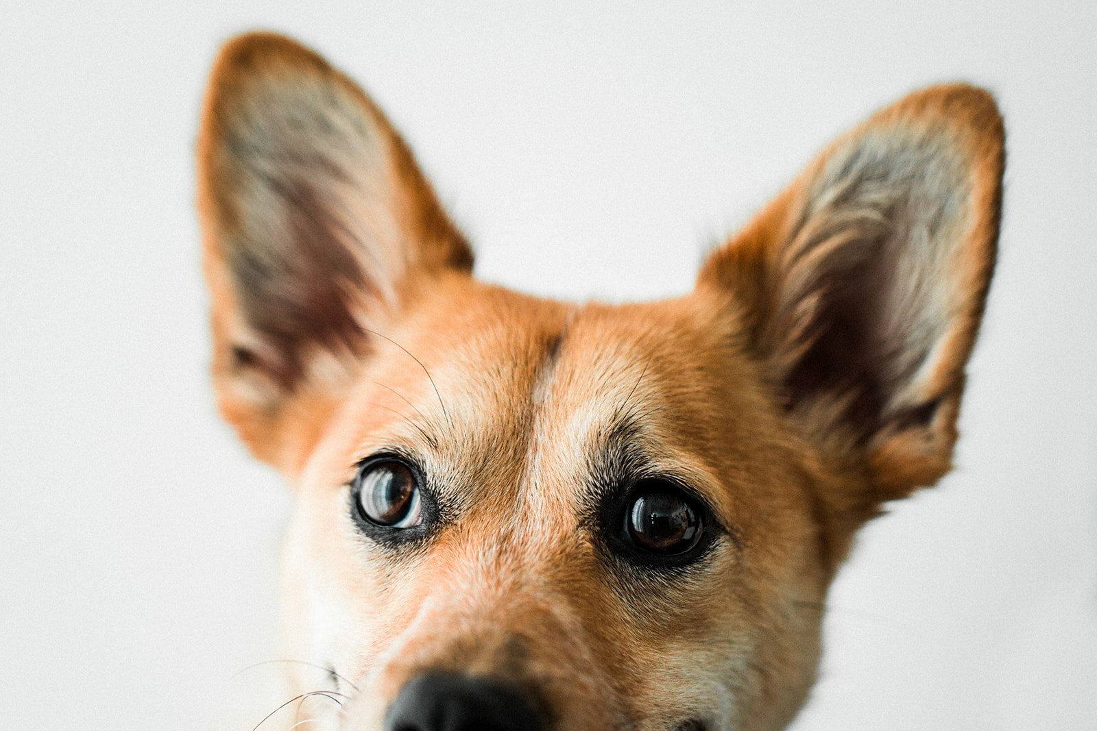Jack_Wildhearts_Photography09.jpg