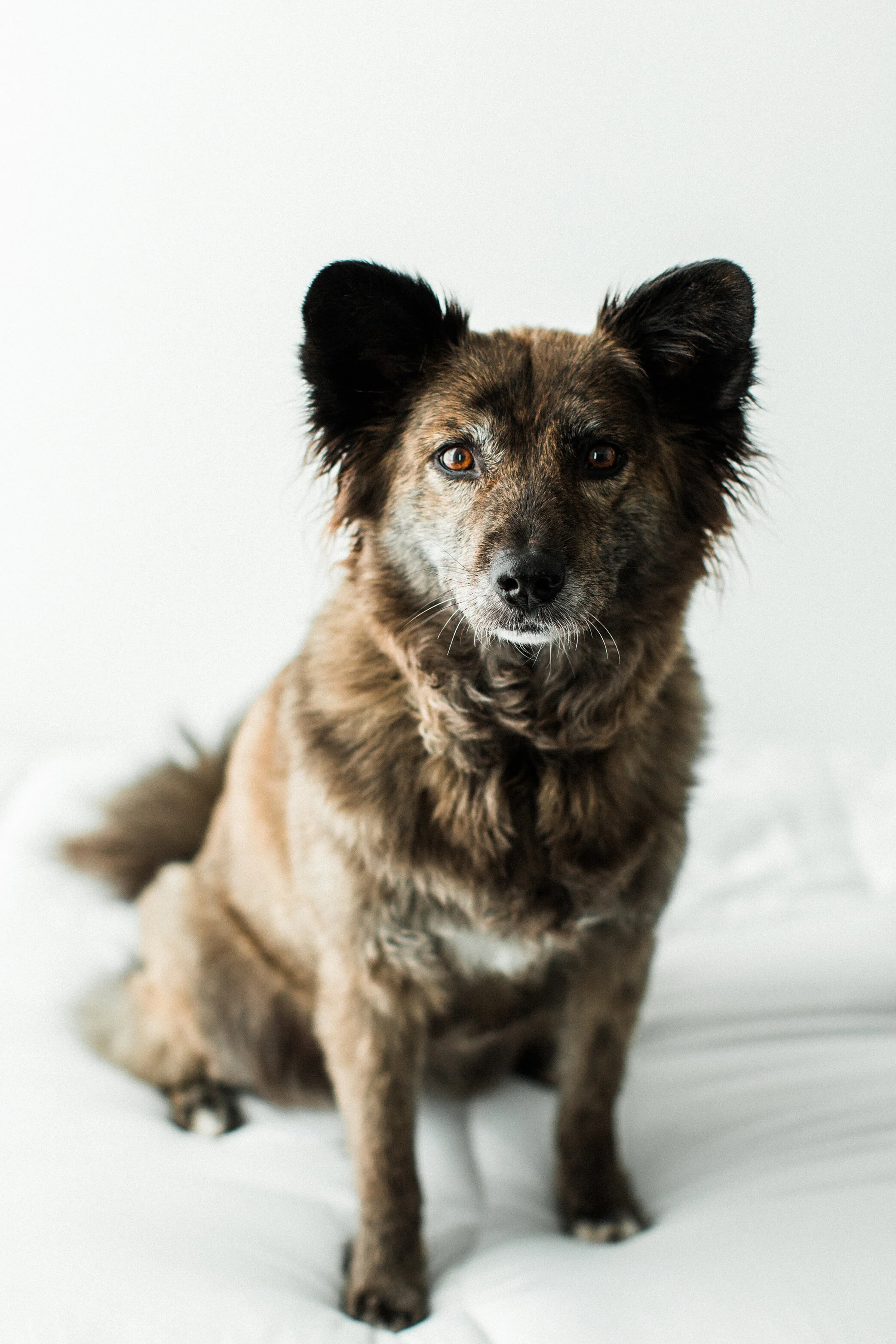 Echo_Wildhearts_Photography01.jpg