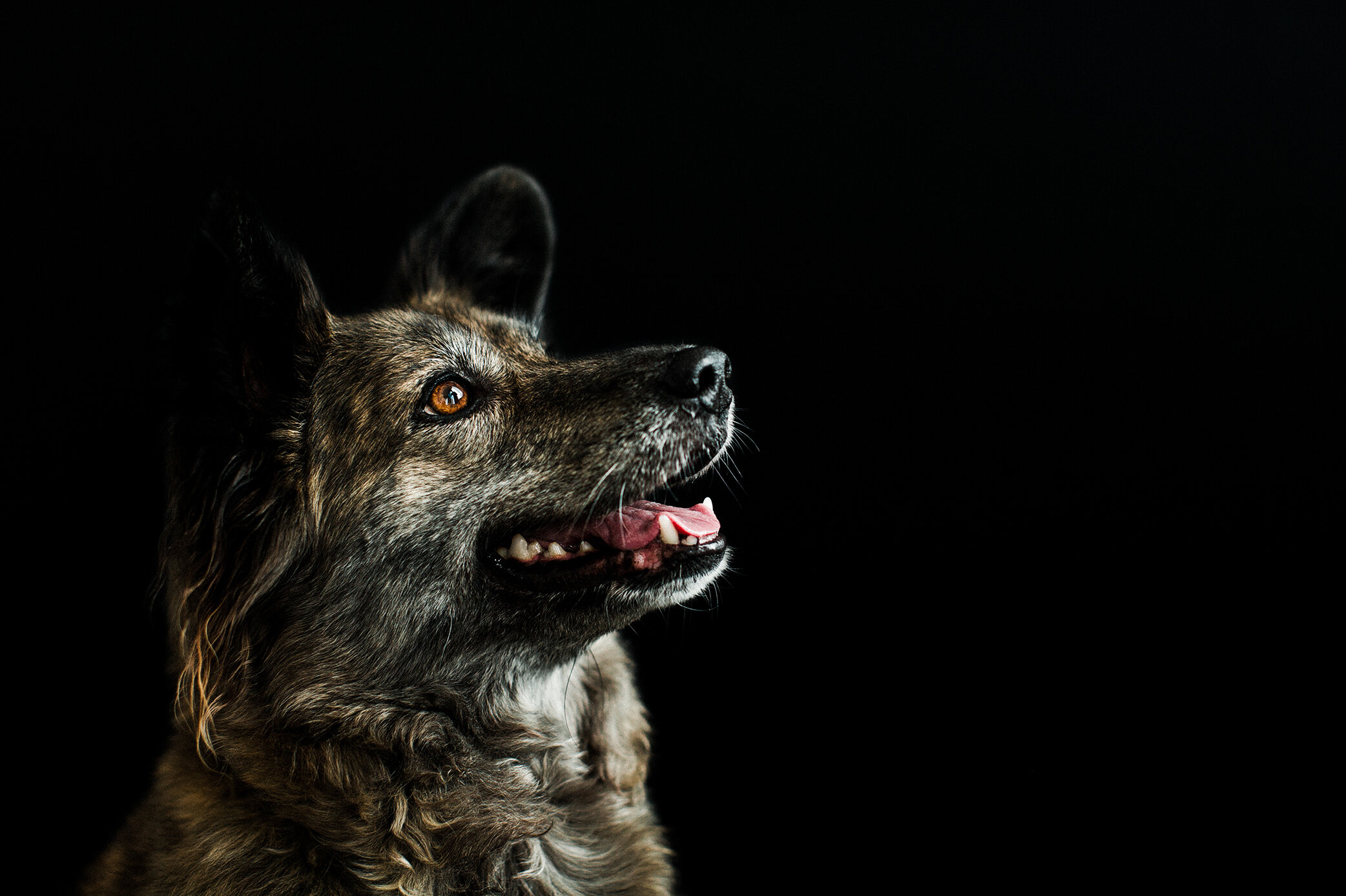 Echo_Wildhearts_Photography09.jpg