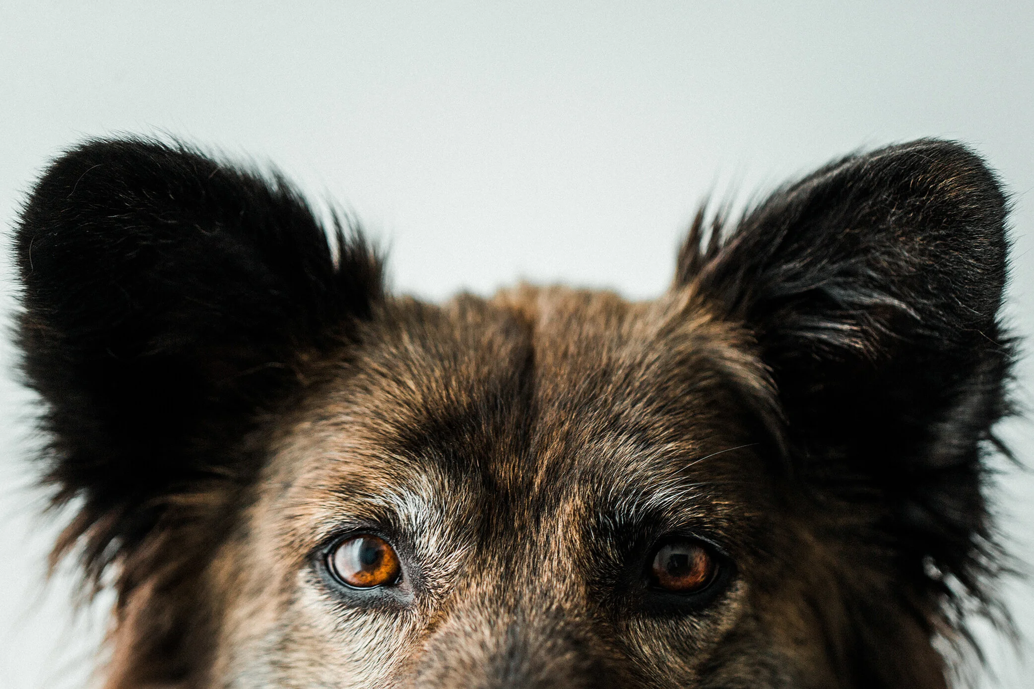 Echo_Wildhearts_Photography07.jpg