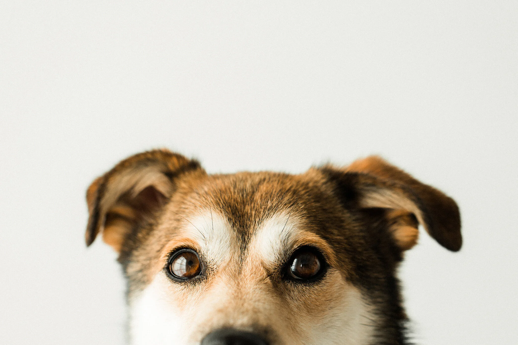 Haroo_Wildhearts_Photography05.jpg