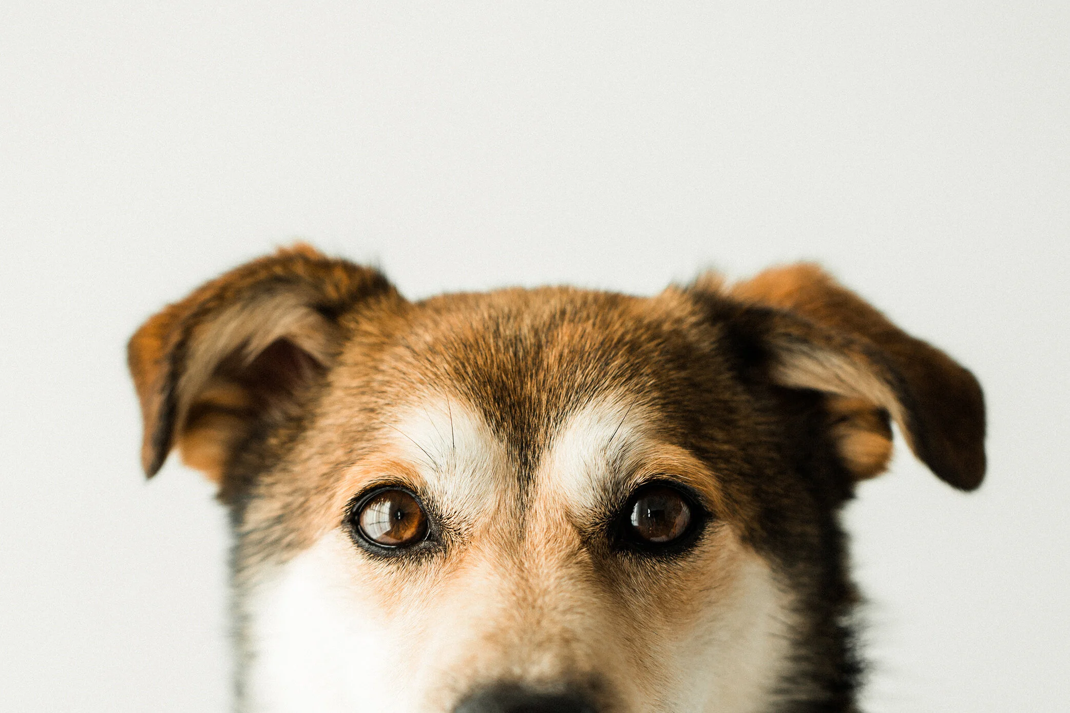 Haroo_Wildhearts_Photography06.jpg