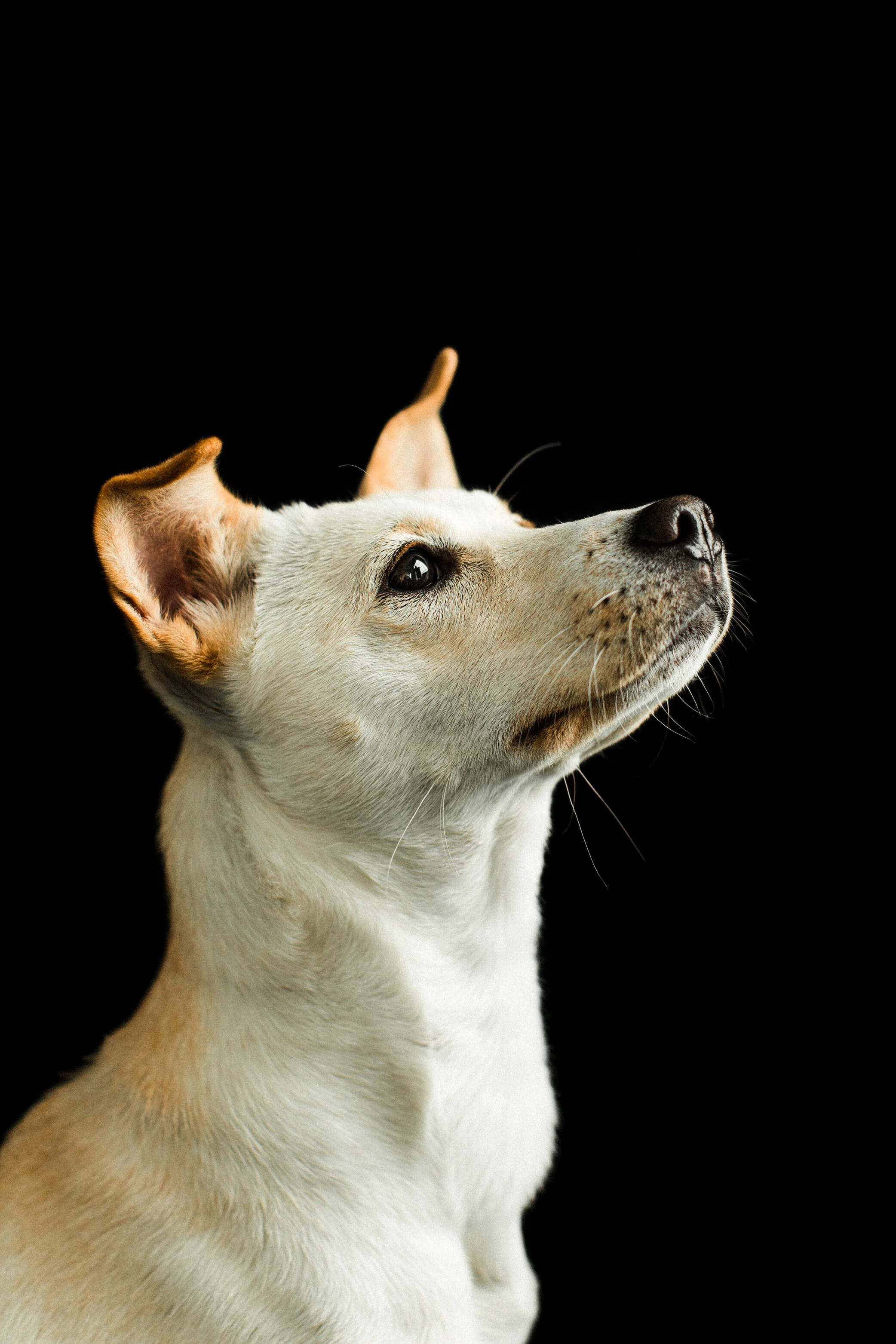 Ella_Wildhearts_Photography18.jpg
