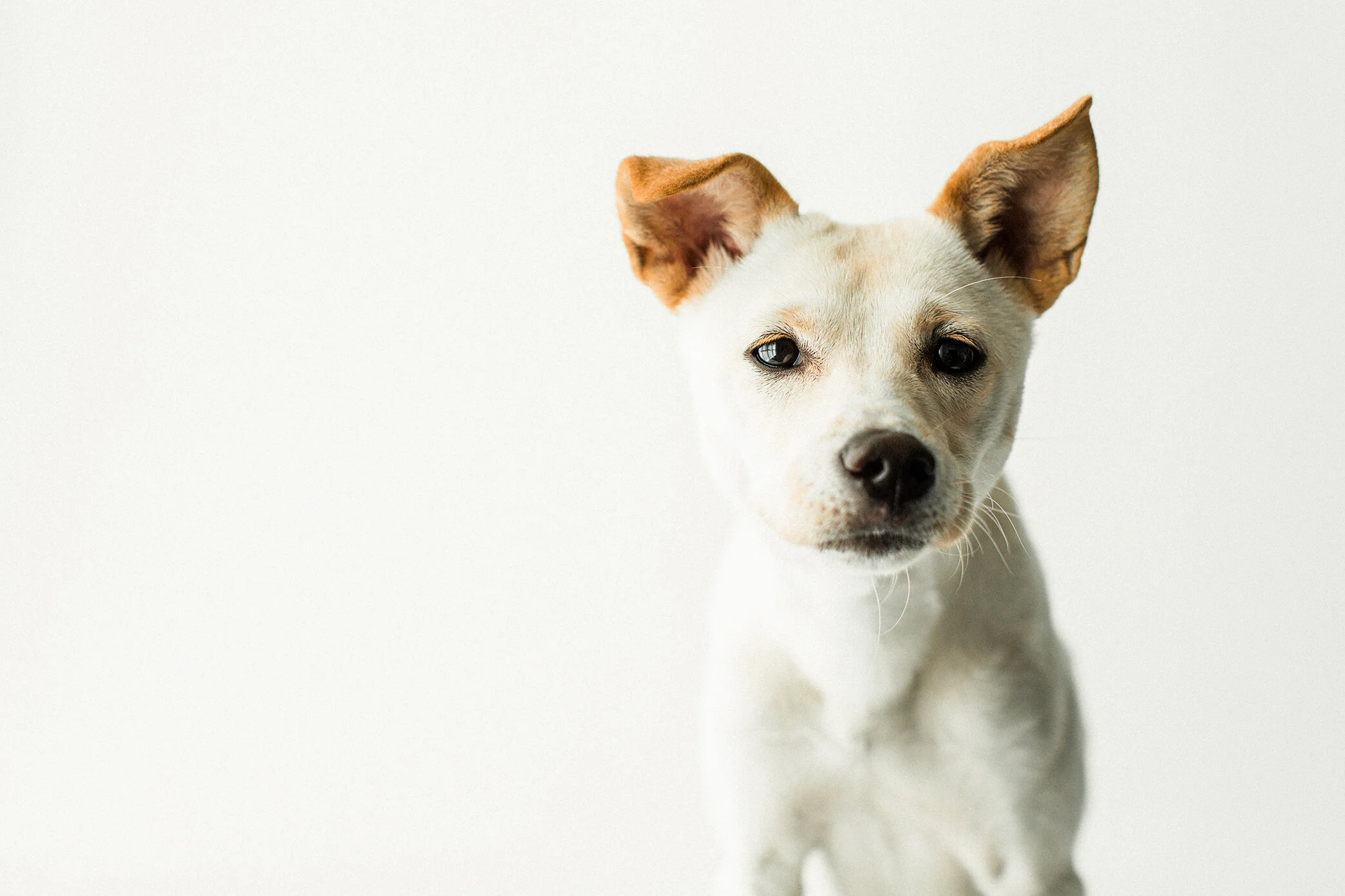 Ella_Wildhearts_Photography12.jpg