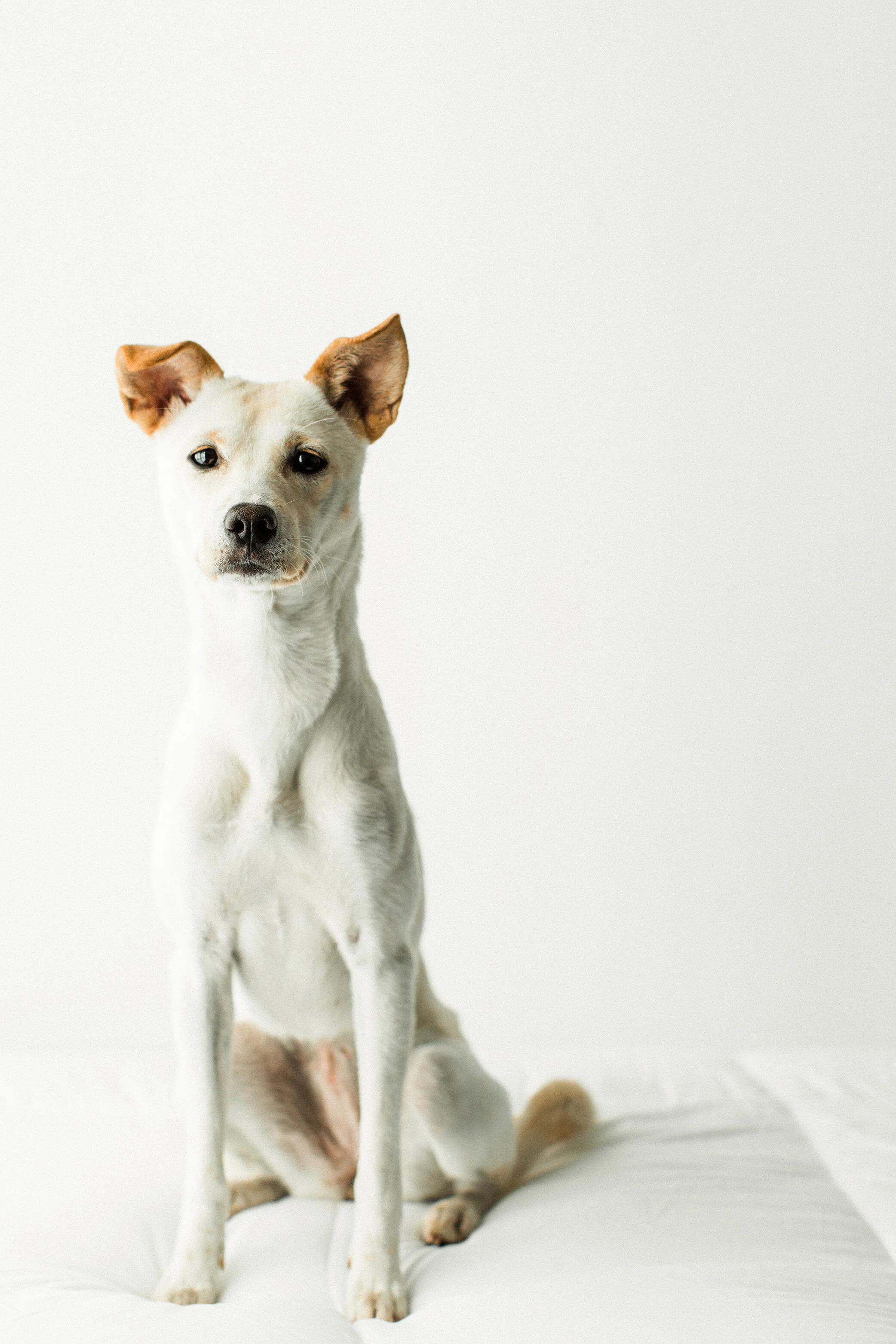 Ella_Wildhearts_Photography11.jpg