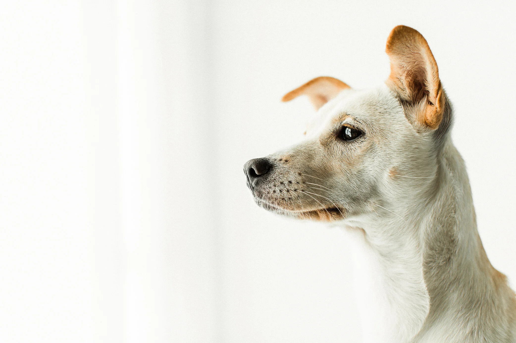 Ella_Wildhearts_Photography13.jpg