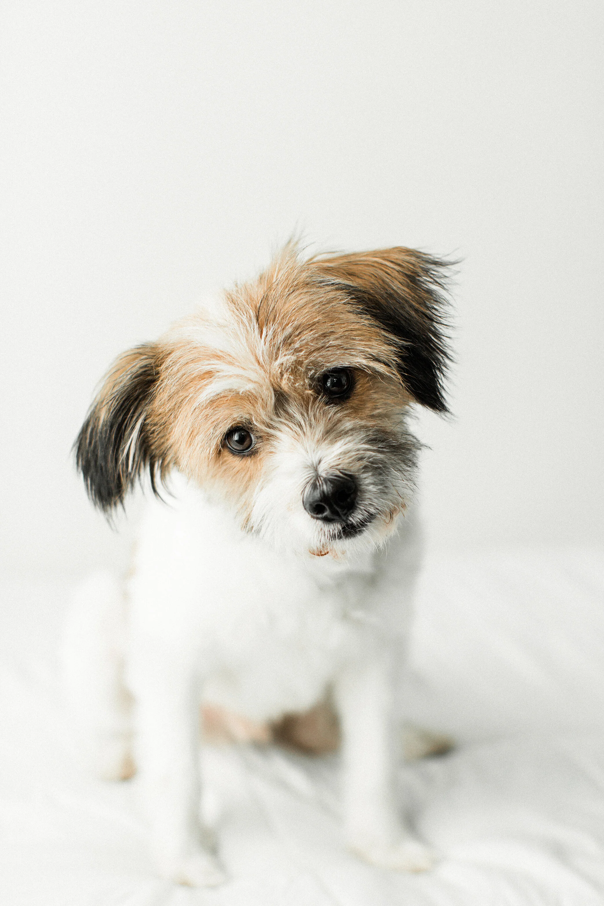 Hugh_Wildhearts_Photography10.jpg