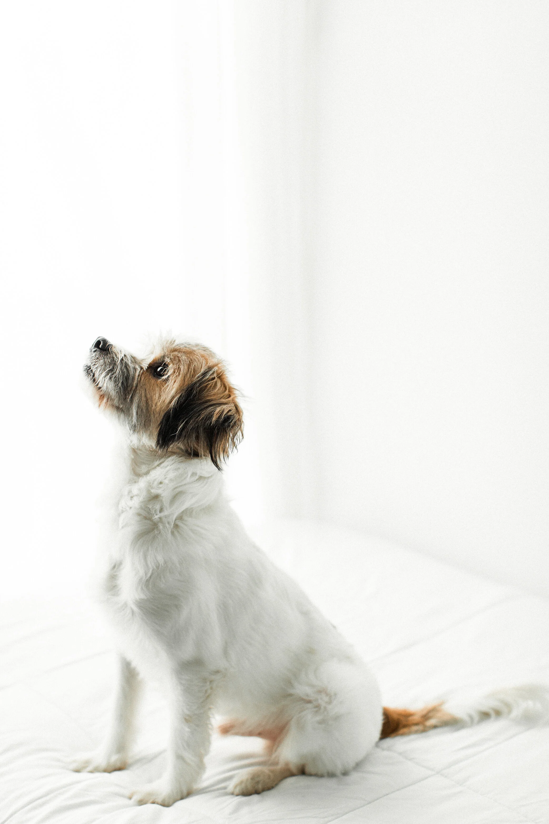 Hugh_Wildhearts_Photography14.jpg