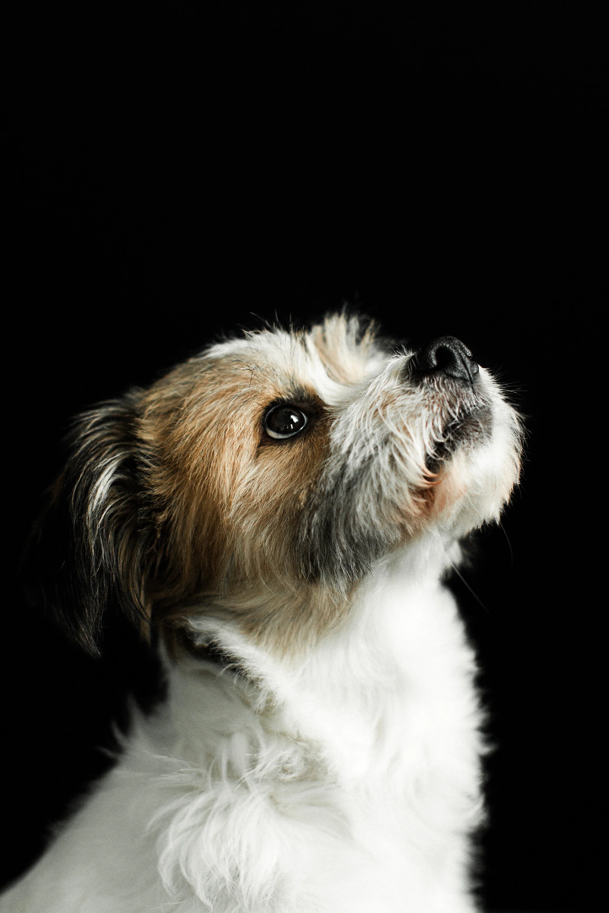 Hugh_Wildhearts_Photography16.jpg