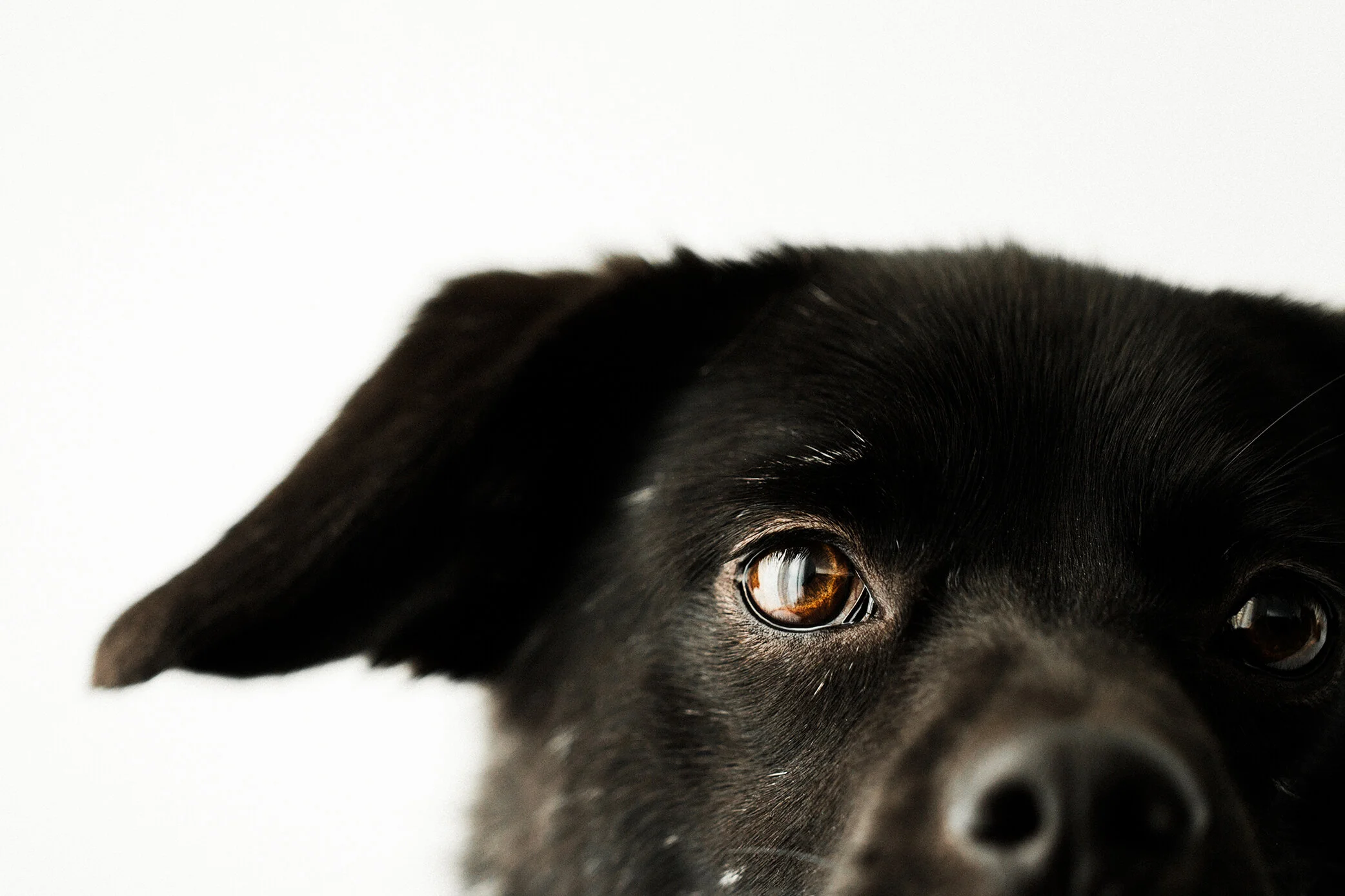 Jade_Wildhearts_Photography19.jpg